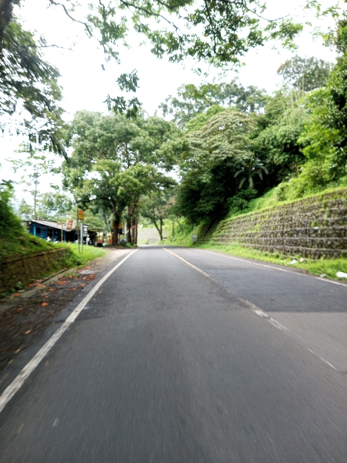 This image depicts a two-lane asphalt road in the city of Serpang Shalli, Bhutan, viewed from a low perspective. The road surface appears damp and features a solid white line marking the left edge and a solid yellow line further right, indicating lane separation. On the left side, a low, grass-covered stone retaining wall supports an embankment, behind which a structure with a light blue roof is partially visible, along with a yellow sign and dense green foliage. Further back, indistinct structures are visible through the trees. On the right side, a substantial stepped retaining wall, constructed from dark stone blocks, supports a steep, heavily vegetated hillside. This hillside is densely covered with various green trees and plants, including what appears to be a banana plant. The sky overhead is bright and overcast, with tree branches visible in the upper frame. No clearly discernible human figures or active vehicles are present on the road or in the immediate foreground.