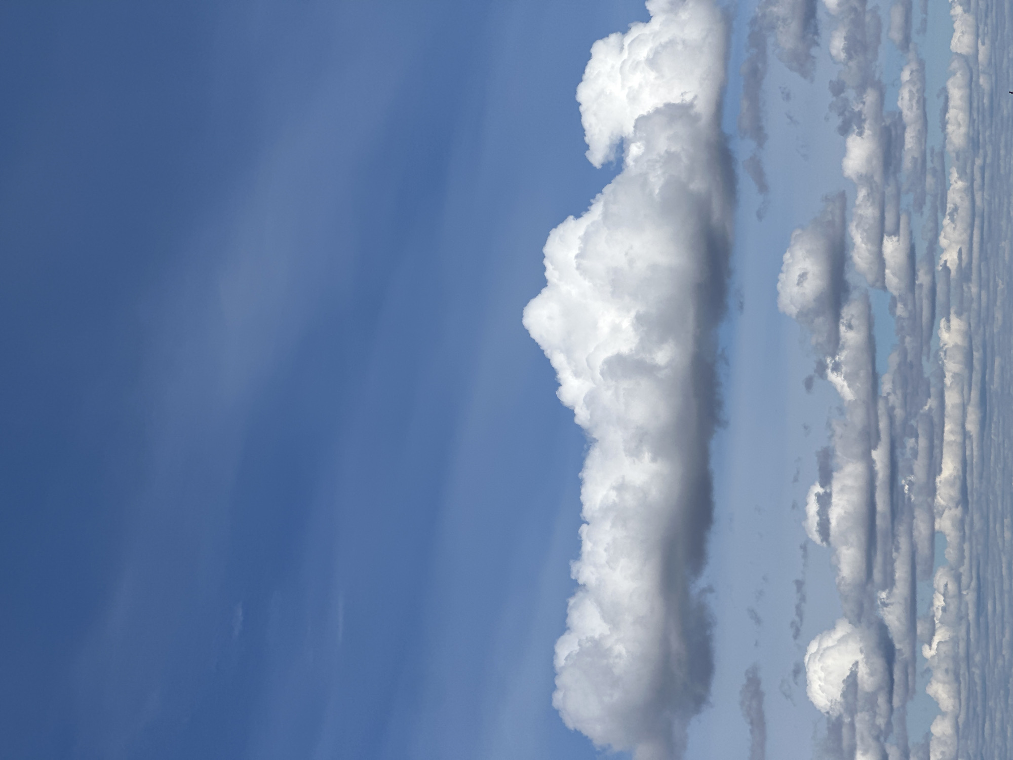 The image displays a sky scene dominated by a clear blue expanse on the left and various cloud formations towards the right. On the far left, the sky is a deep, uniform blue, with subtle, faint lighter streaks or wisps of clouds barely visible.
A significant, bright white cumulus cloud occupies the central portion of the frame, extending vertically from near the bottom to the top edge. This cloud exhibits considerable volume and texture, with well-defined, billowing shapes and shadowed areas that convey its three-dimensional form, suggesting strong overhead sunlight.
To the right of this large central cloud, the sky is filled with a more extensive and complex arrangement of smaller clouds. These clouds appear in textured, somewhat stratified patterns, forming irregular horizontal bands or rows. They vary in brightness and shadow, suggesting different depths and types, possibly stratocumulus or altocumulus, with some appearing flatter and others having more rounded contours.
No people, man-made objects, or activities are depicted. The scene is a static natural landscape of the sky. The vibrant blue sky and illuminated white clouds indicate a sunny day, likely mid-morning to early afternoon, with good visibility and fair weather. There is no visible text. The location context for this sky image is Chaikovsky, Russia.