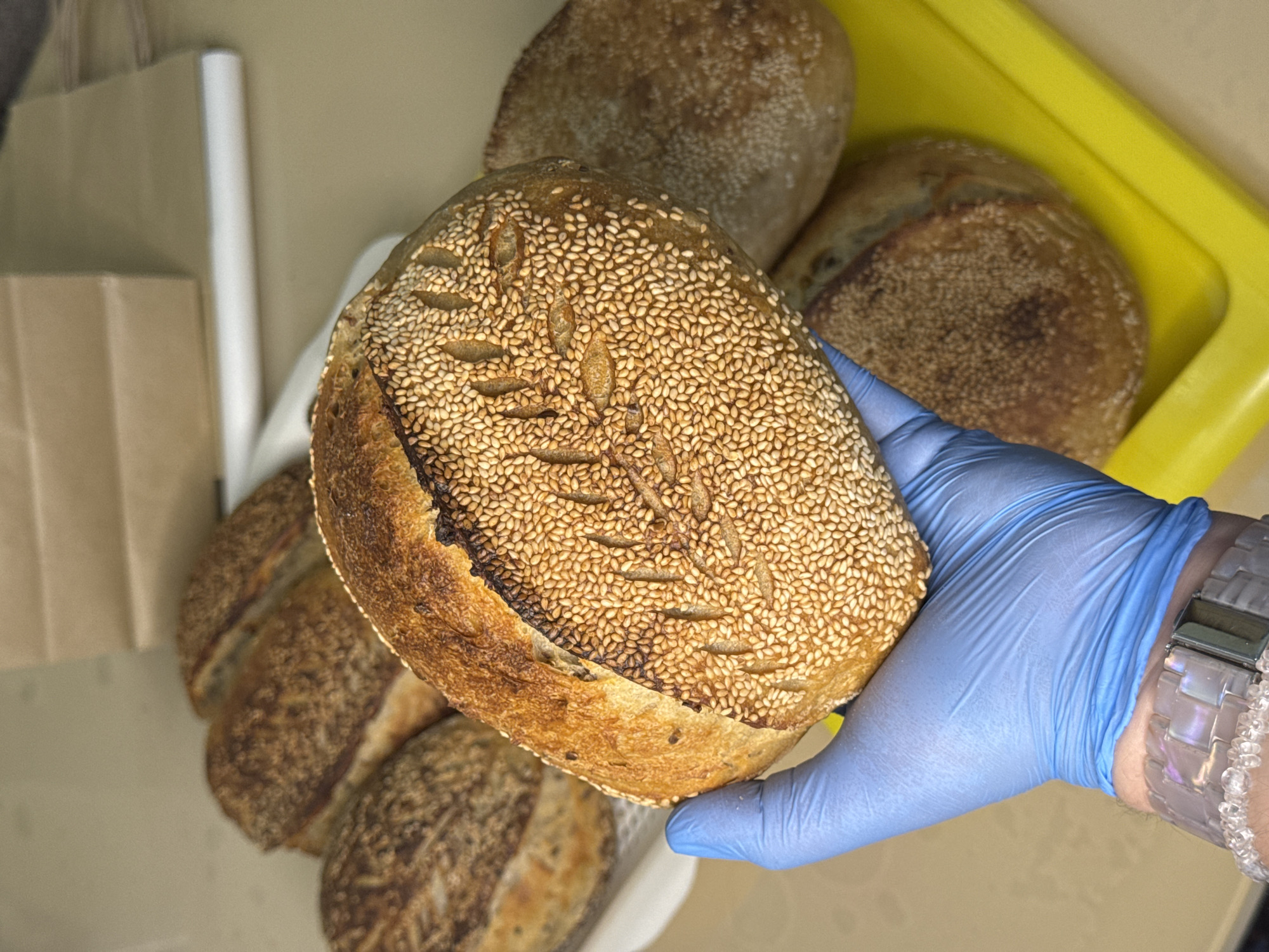 A person wearing a blue glove holds a loaf of sesame seed-covered bread with decorative slashes. Several other loaves of bread are visible in the background, resting in a white container set within a yellow tray. A paper bag and a white object stand to the left. No information allows the location of this picture being in Высокий, Russia.