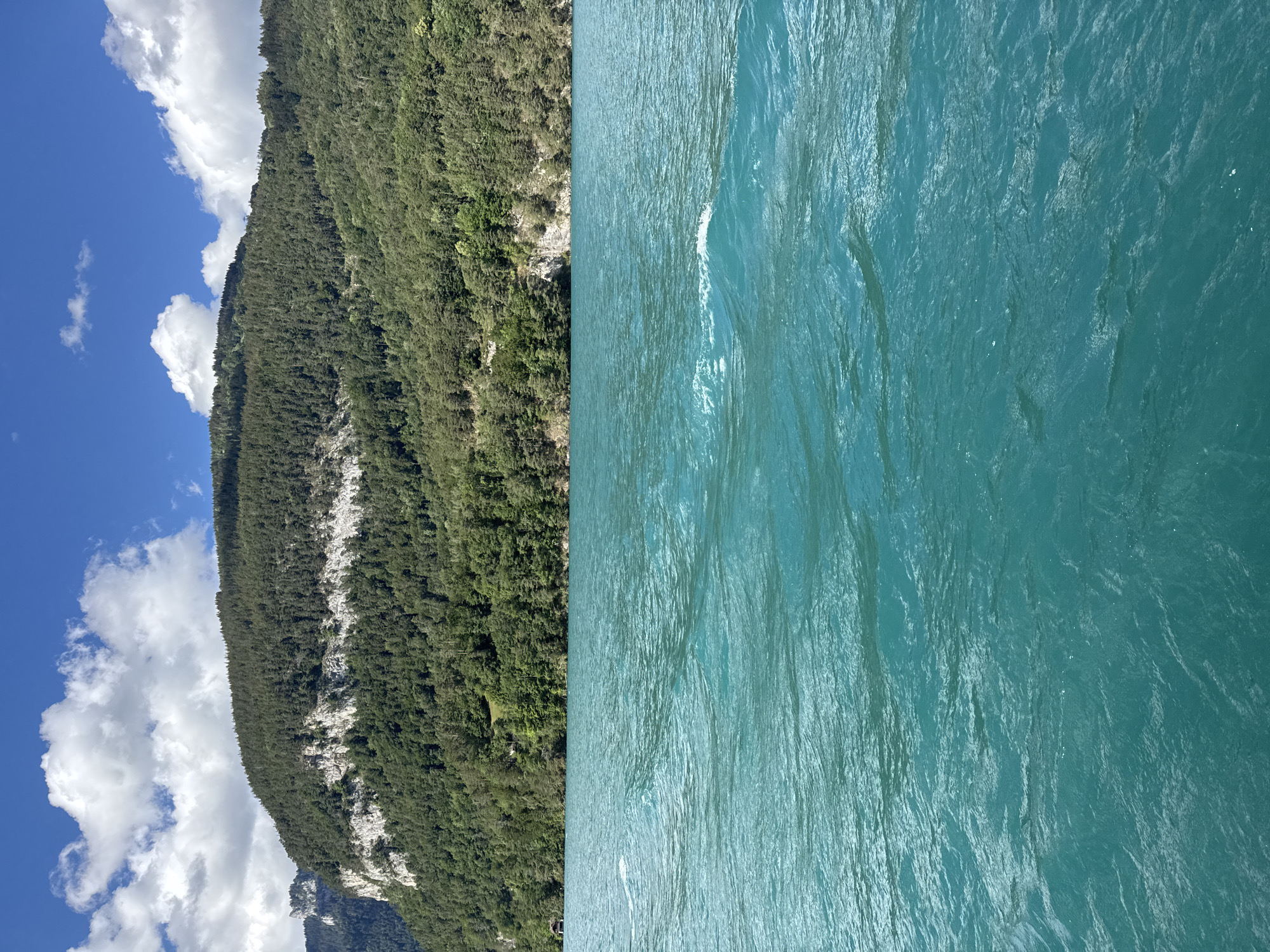 An eye-level, full outdoor shot captures the vibrant, turquoise waters of Lake Thun in Sigriswil, Switzerland. The lake, which occupies the foreground and middle ground, is agitated by small waves, creating a textured surface that reflects the bright sunlight. In the background, a densely forested mountain rises steeply from the water's edge. The mountain is covered in a thick carpet of dark green trees, with a prominent band of lighter, rocky cliff face visible partway up. The sky above is a brilliant blue, dotted with fluffy white clouds. The scene evokes a sense of natural beauty and tranquility.
