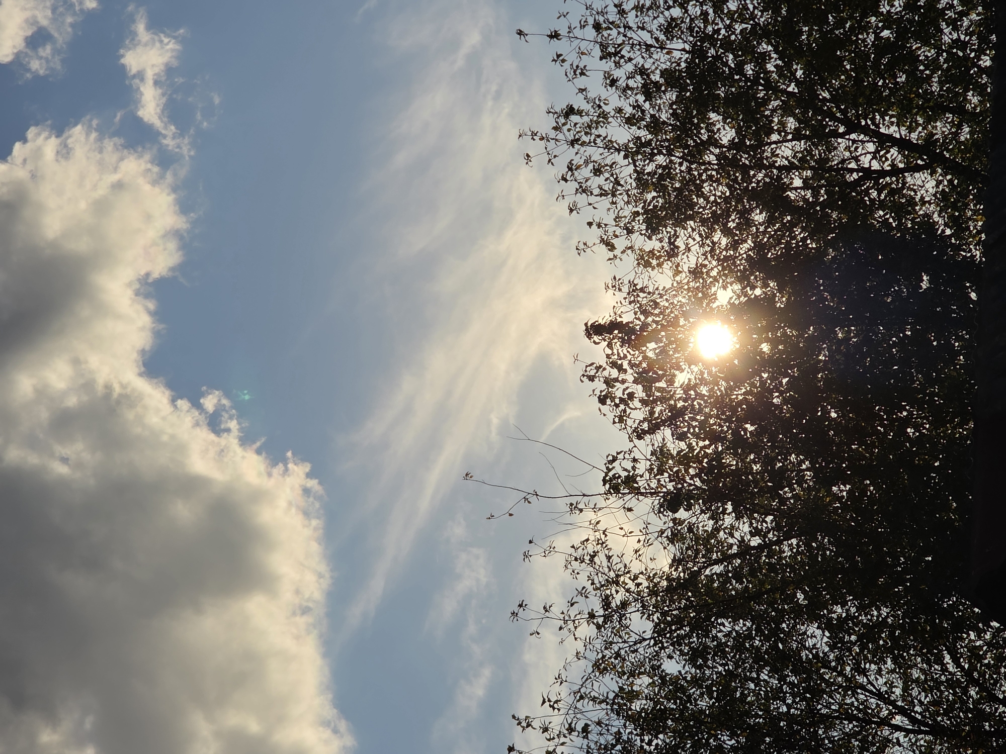 The image captures a sky scene above a silhouetted treeline. The sun is visible, peeking through the leaves of the trees, creating a lens flare effect. The sky is a light blue with wispy white clouds scattered across it, and one larger, darker cloud bank is present in the upper left portion of the frame. The overall impression is of an outdoor environment, possibly a park or natural area, under a partly cloudy sky during daylight hours. There are no people or specific landmarks identifiable to confirm a location within Magnitka, Russia.