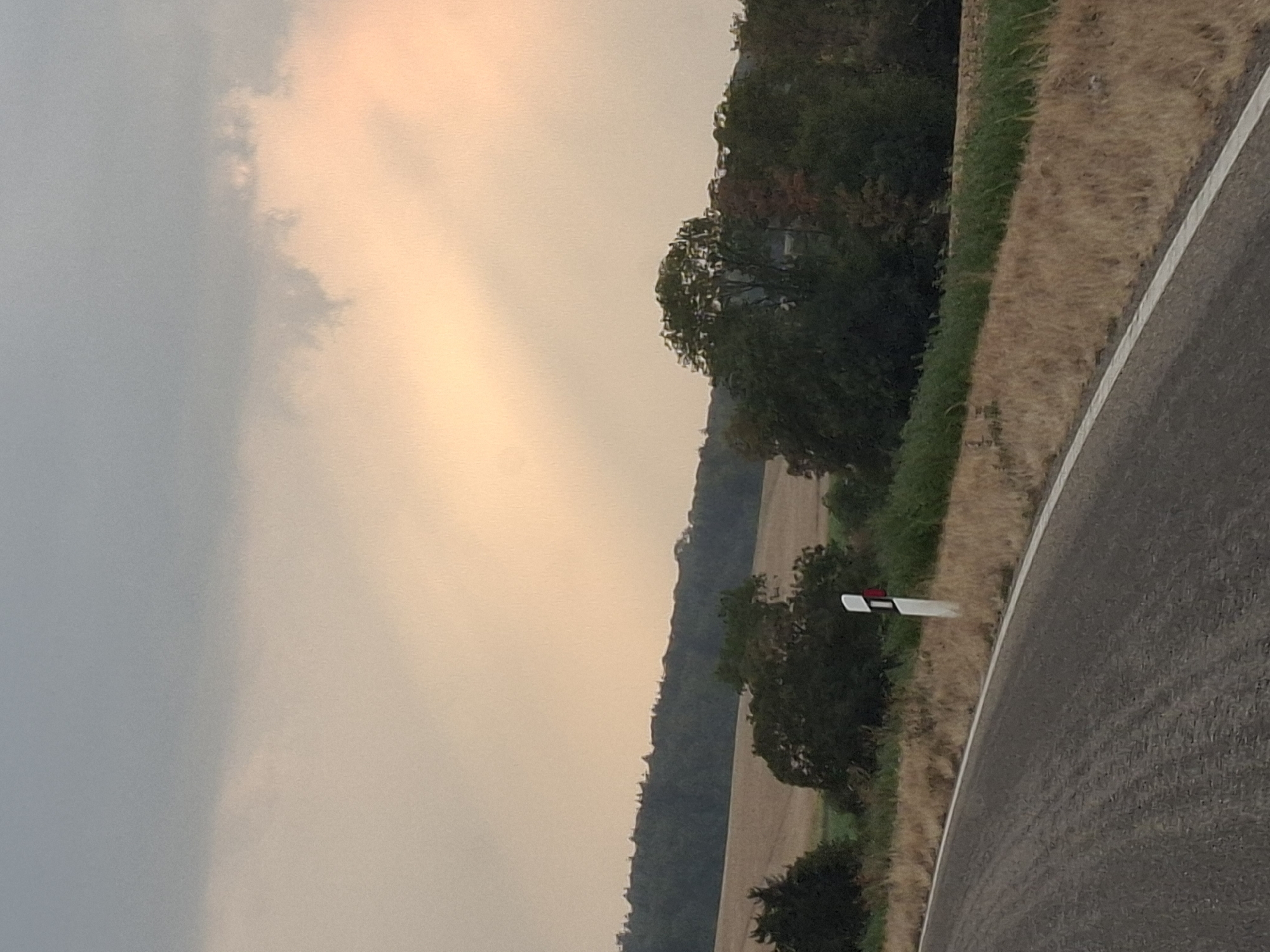 This is a roadside view in Bad Rappenau, Germany. The scene captures a paved road curving to the left, bordered by dry, yellowish grass and a line of green vegetation. A white post with red and white reflective markers stands beside the road, indicating its edge. Beyond the roadside, a field of harvested crops, appearing as dry, light brown stubble, stretches into the distance. A line of trees forms a dense dark green forest at the horizon. Above the landscape, the sky is filled with soft, muted clouds, with a lighter, pinkish hue on the right side, suggesting either sunset or sunrise. The overall atmosphere is tranquil and rural.
