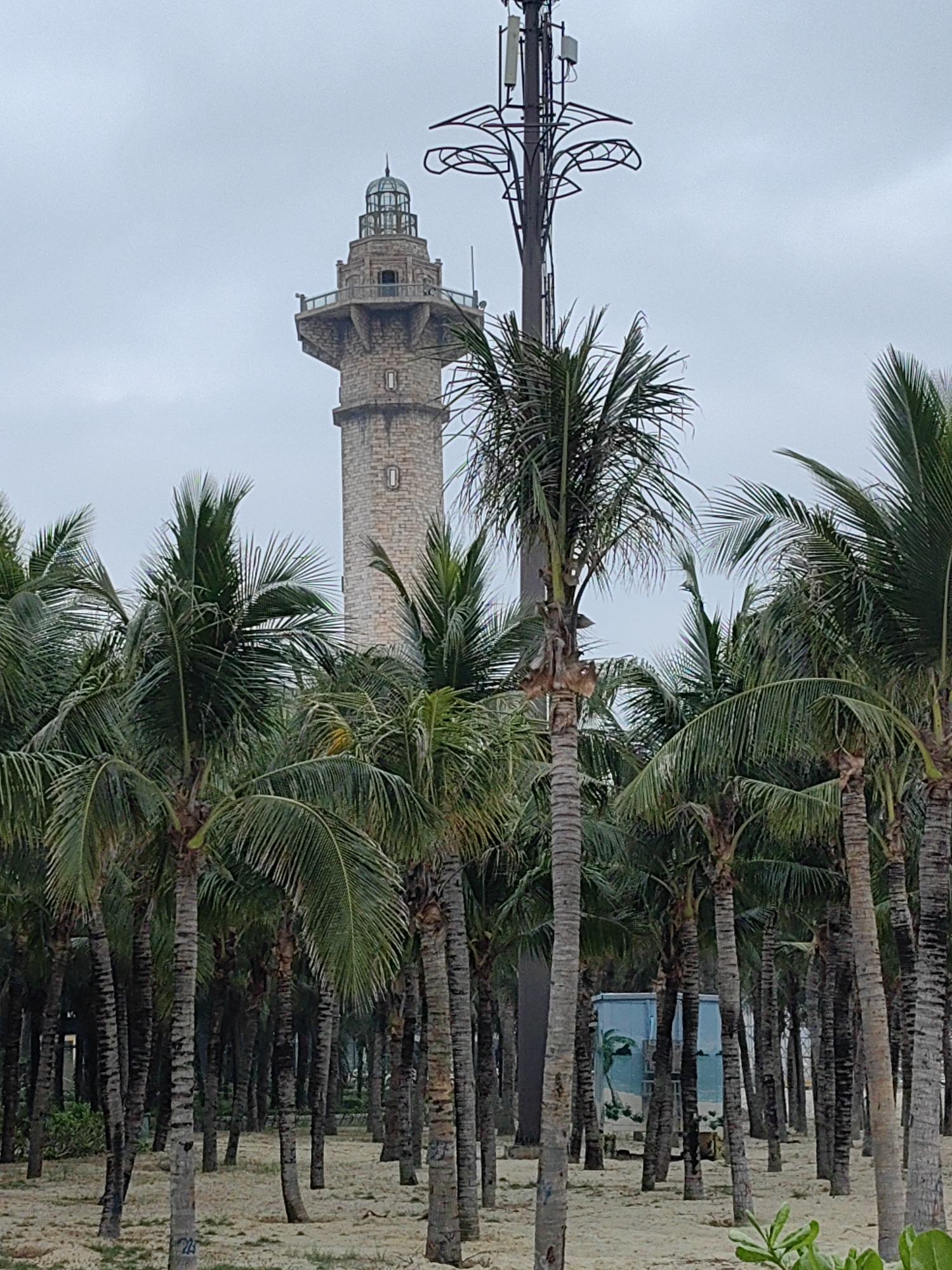 This image depicts a serene coastal landscape in Bai Chay Ward, Vietnam, under a soft, overcast sky. In the background, a distinctive stone lighthouse stands tall, characterized by its textured masonry, a small observation balcony, and a prominent glass-enclosed lantern room at its summit. To the right of the lighthouse, a modern communication tower rises, featuring a dark metal structure topped with antennas and adorned with ornate, abstract, leaf-like metal embellishments designed to mimic natural foliage.
The foreground and midground are dominated by a dense grove of numerous palm trees, their green fronds creating a lush, tropical canopy. The trunks of these trees, varying in thickness, lead down to a sandy ground interspersed with patches of sparse green vegetation. Nestled discreetly among the palm trunks is a small, light blue utility structure or shed, which features a painted mural of a palm tree and beach scene on its visible side, helping it blend into the natural environment.
The absence of people and the diffused light from the cloudy day contribute to a quiet and tranquil atmosphere. The scene combines architectural elements—the historic lighthouse and the contemporary, somewhat disguised, communication tower—with the natural beauty of a palm-fringed beach area. No discernible text is visible within the frame.