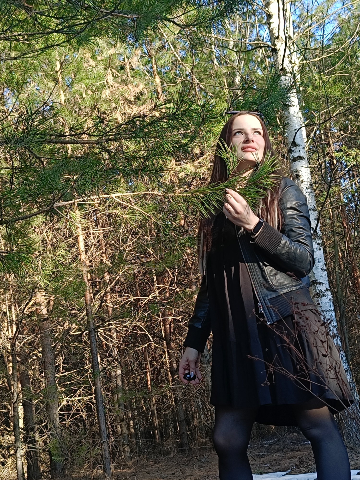 The image portrays a young woman standing in a sun-drenched forest, likely in Chaikovsky, Russia, during what appears to be late winter or early spring. She has long, dark brown hair and is captured mid-gaze, looking upwards and to her right with a thoughtful or appreciative expression. Her light-colored eyes are directed towards the bright sky or the upper canopy of the trees.
She is dressed in a black leather jacket over a black dress or tunic, paired with black opaque tights. Accessories include a dark-colored fitness tracker on her left wrist and a ring on her right hand. She is holding a cluster of vibrant green pine needles in her right hand. Sunglasses are perched on top of her head.
The setting is a natural forest environment, characterized by numerous tall pine trees with their distinctive green needles. To the woman's right, a prominent birch tree with its characteristic white bark and dark markings stands out against the background. The forest floor has patches of snow, indicating the season. Bright sunlight filters through the trees, casting sharp shadows and illuminating the scene, suggesting late morning or early afternoon. The background consists of a dense network of tree trunks and bare branches, contributing to the wild and natural atmosphere. There is no visible text in the image.