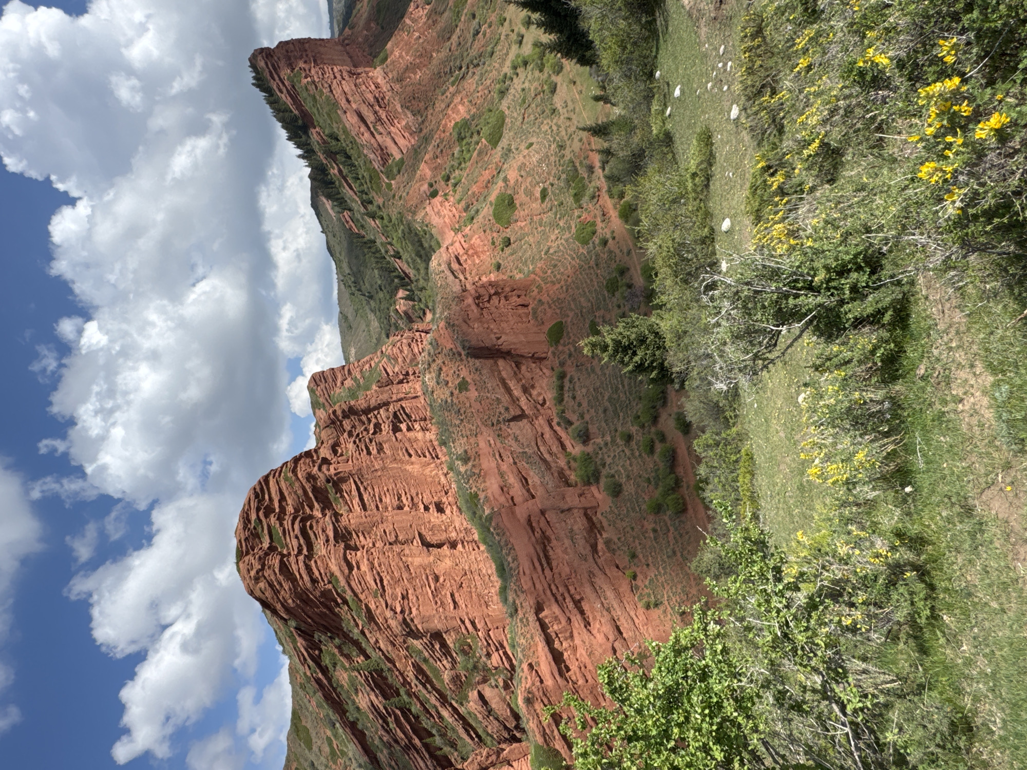 The image displays a picturesque, sun-drenched mountainous landscape in Jeti-Ögüz, Kyrgyzstan, characterized by dramatic red rock formations. The scene primarily features towering, layered red sandstone cliffs and slopes, which dominate the left and central portions of the frame. These rugged rock faces are interspersed with patches of green vegetation, including bushes and small trees clinging to the contours of the terrain.
In the foreground and extending into the mid-ground, the landscape transitions to rolling green hills and slopes covered with dense foliage and grass. Bright yellow flowers are visible on several bushes, adding vibrant splashes of color against the green. Small white stones or rocks are scattered across the grassy areas on the right side of the image.
Above the majestic red mountains, a clear blue sky is visible, adorned with large, fluffy white cumulus clouds. The bright, direct sunlight indicates that it is daytime, likely mid-morning or afternoon, illuminating the textures of the rock and vegetation and creating clear shadows.
No people or distinct man-made objects are visible, underscoring the natural and remote character of the location. The image captures the serene and imposing beauty of the Jeti-Ögüz region, renowned for its unique red sandstone geology. There is no visible text within the media file.