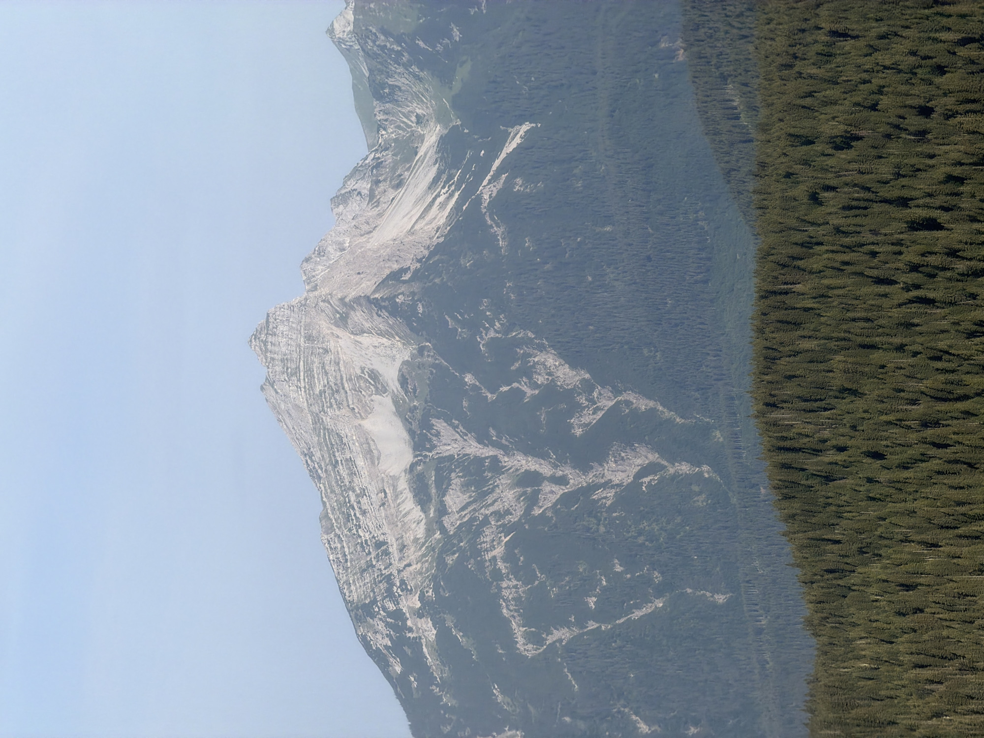 The image depicts a panoramic view of a mountain range in Grainau, Germany, under a clear, pale blue sky. The foreground is dominated by a dense, dark green forest of coniferous trees, their tops creating a textured, undulating surface. Behind the forest, the slopes of the mountains rise, covered in a mix of dark green vegetation and exposed rock faces. The mountains are characterized by steep inclines, jagged peaks, and visible geological features such as scree slopes and erosion channels. The highest peaks show signs of rocky, barren terrain, with some patches of lighter-colored rock. The overall impression is of a rugged, natural landscape. There are no people or artificial structures visible in the image.
