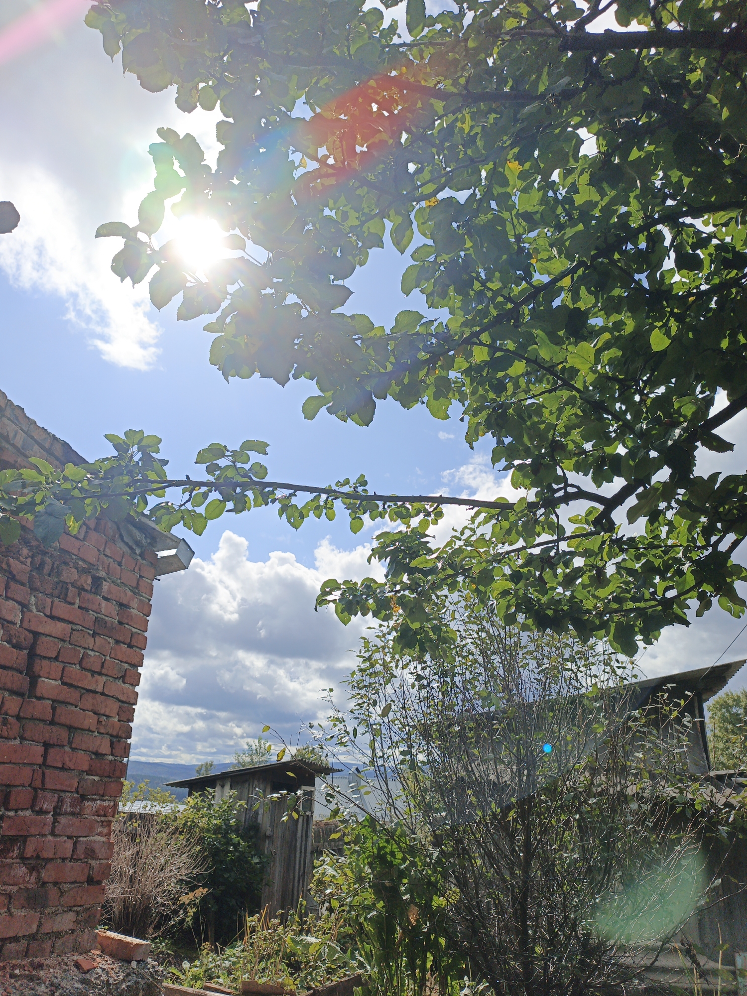 This image, taken in Medvedyovka, Russia, depicts an outdoor scene under a partly cloudy sky. In the foreground, to the left, is a section of a weathered red brick building. To the right and in the center, a dense canopy of green leaves from a tree branches across the frame, with the sun shining through, creating lens flare effects and illuminating the foliage. Below the tree, a cluster of dry, brown bushes and green vegetation is visible. In the background, there is a rustic wooden outbuilding with a sloped roof, and beyond that, a distant view of hills and mountains. The overall impression is of a rural or semi-rural setting with signs of aging infrastructure.