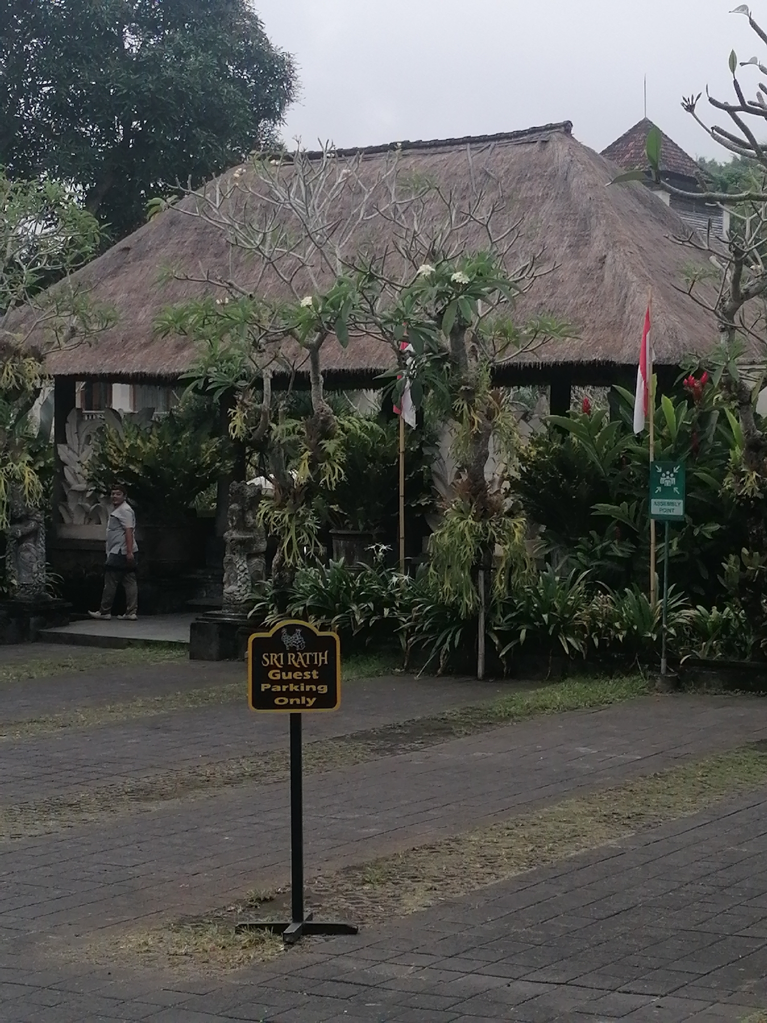 The image depicts a building with a thatched roof, likely in Ubud District, Indonesia, given the architectural style and lush vegetation. In the foreground, a dark-colored paved area with intermittent patches of grass leads towards the building. A yellow sign with black lettering reads "SRI RATIH Guest Parking Only," indicating its purpose. To the right of this sign, a green sign with white iconography displays "ASSEMBLY POINT." A person, dressed in a light-colored short-sleeved shirt and dark pants, stands near the entrance of the building, which features ornate stone carvings. The building itself is surrounded by dense greenery, including trees with bare branches adorned with hanging foliage. Two Indonesian flags, red and white, are visible on poles in front of the building. The overall atmosphere is overcast, suggesting a cloudy day.