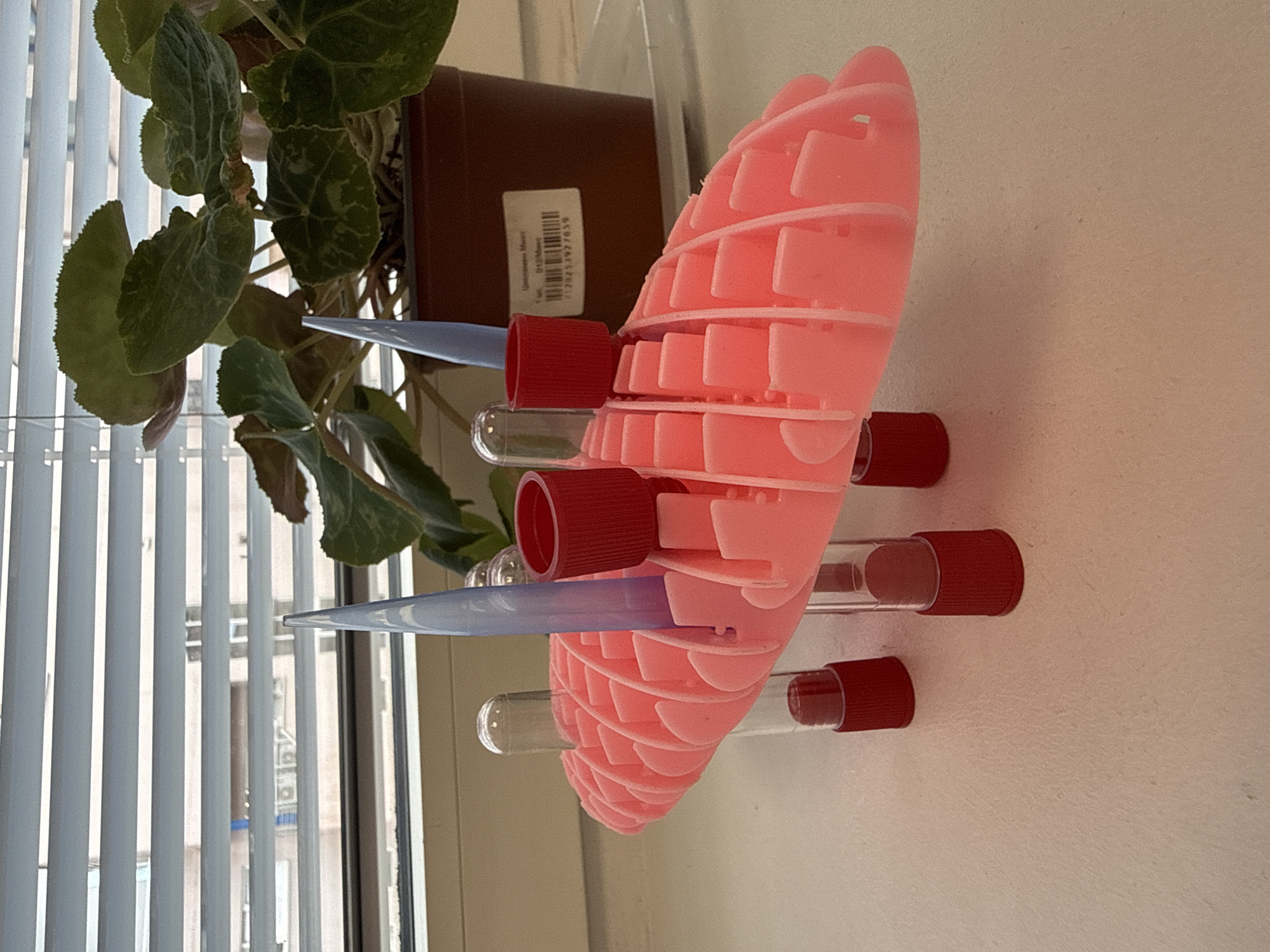 In a Moscow apartment, on a windowsill, a collection of laboratory equipment is displayed. A bright pink, multi-layered rack holds several clear plastic test tubes with red caps. Two slender, pale blue pointed objects are inserted into the rack. Behind the rack, a potted plant with large, textured green leaves sits in a brown pot. A white sticker with Cyrillic text and a barcode is affixed to the pot. The scene is illuminated by natural light filtering through horizontal blinds.