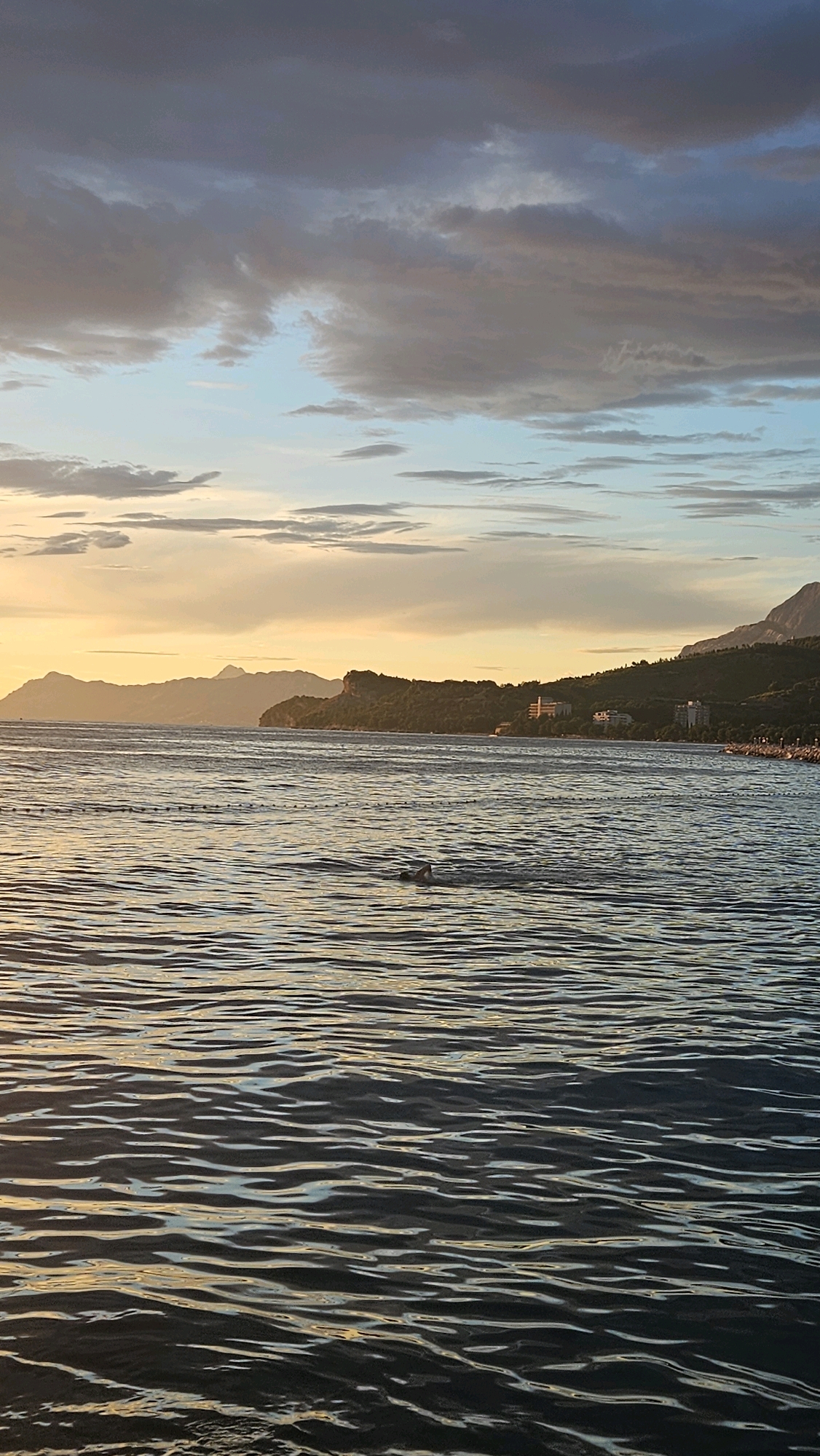 The image depicts a sunset over the Adriatic Sea, with the coastline of Općina Tučepi, Croatia, visible in the background. The sky is a blend of warm orange and yellow hues near the horizon, transitioning into soft blues and grays with scattered clouds. The sea is calm, with gentle ripples reflecting the colors of the sky. In the middle ground, a lone individual is swimming in the water. The coastline is characterized by lush green hills and several buildings, suggesting a developed resort area. The overall scene is serene and picturesque, capturing the beauty of a coastal sunset.