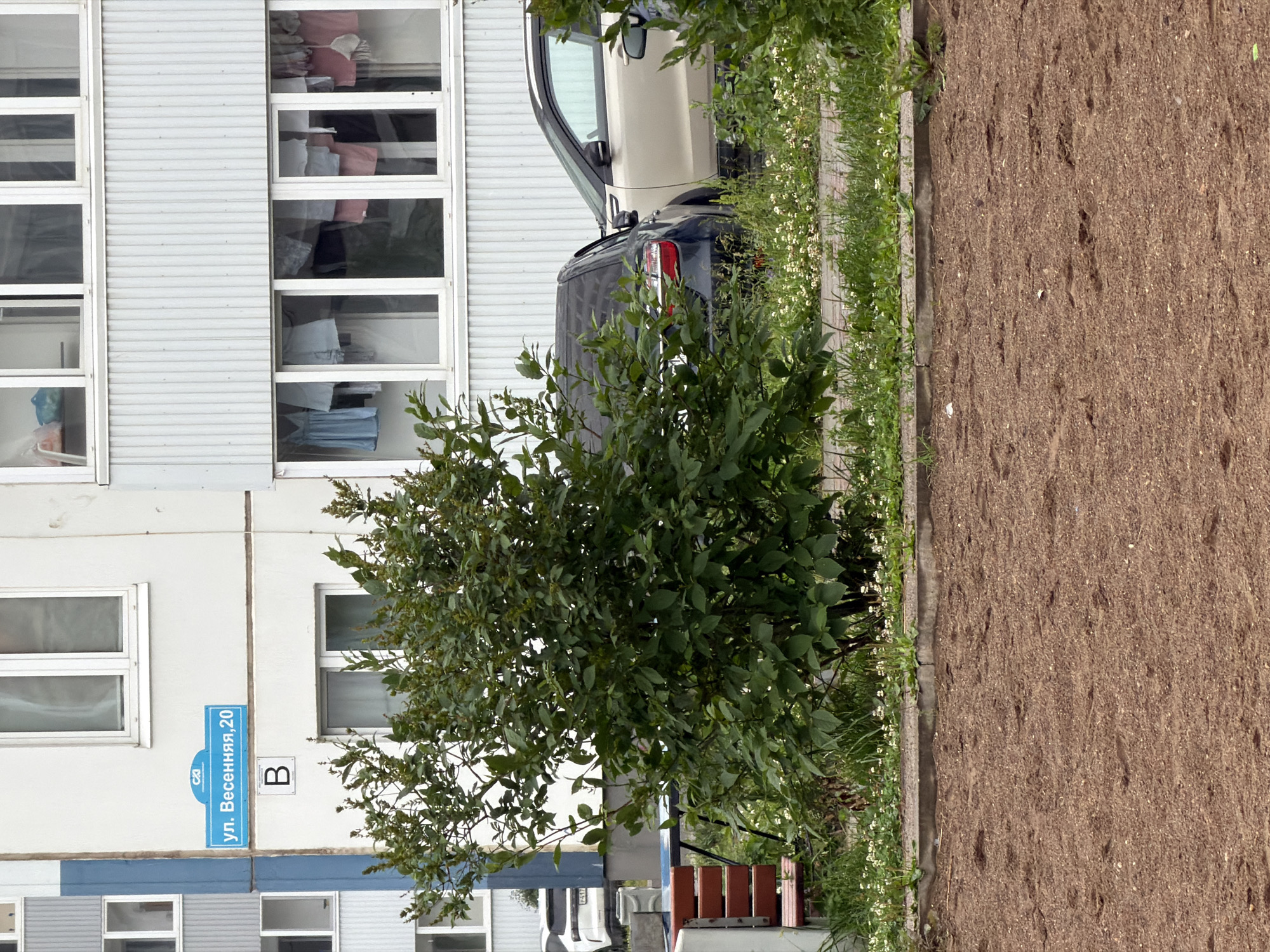 The image shows a building with several windows, a car parked next to it, and a patch of bare earth. A street sign is visible on the building, reading "ул. Весенняя, 20" (Vesennaya Street, 20). There is also a letter "B" visible. The building appears to be residential, with laundry visible through some of the windows. The car is dark-colored and partially obscured by foliage. The bare earth area is rough and appears to be a construction site or a recently prepared garden bed. Greenery, including a leafy tree and small white flowers, lines the edge of the bare earth and the building. The scene suggests an outdoor setting in a residential area. There are no people or animals visible. The lighting suggests it is daytime, likely sunny given the shadows. The overall impression is that of a mundane urban or suburban scene.