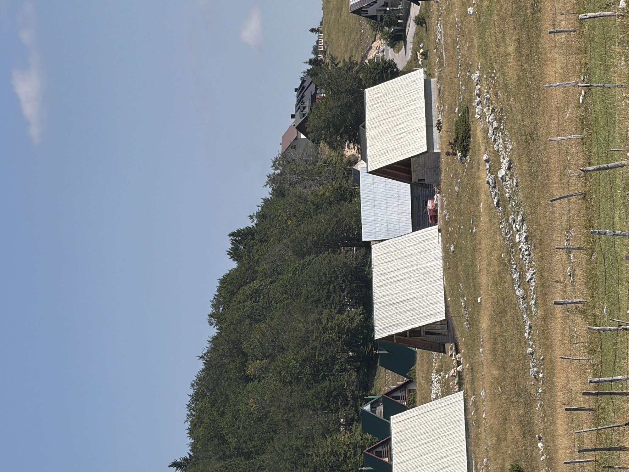 This image captures a scenic view of several A-frame houses with corrugated metal roofs situated on a grassy hillside in Virak, Montenegro. The houses are arranged in a cluster, with some visible in the foreground and others further back. The surrounding landscape is characterized by dry, golden grass interspersed with rocks, leading up to a dense forest that covers the upper portion of the frame. The sky is a clear, bright blue with a single, small white cloud visible. A barbed wire fence with wooden posts runs across the bottom of the image. In the background, a paved road winds its way up the hill, with more buildings and structures visible at the top, suggesting a small settlement or resort area. The overall impression is one of a rural, mountainous environment bathed in sunlight.