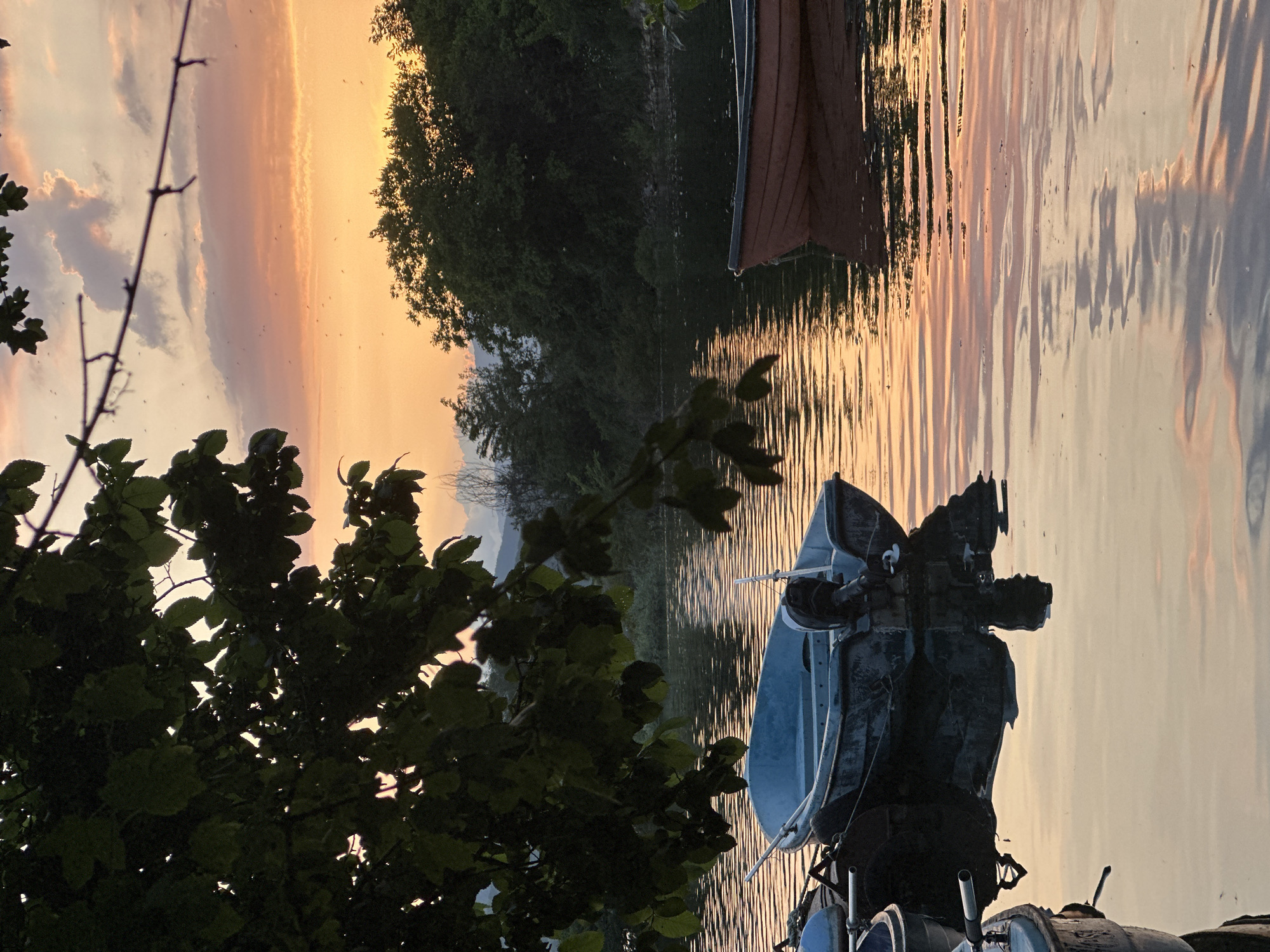 This image captures a serene waterscape during either sunrise or sunset, likely at Glavatartsi, Bulgaria, near a lake or reservoir such as the Kardzhali Dam.
The sky, dominating the upper portion of the frame, is awash with the warm, vibrant colors of the golden hour, transitioning from bright orange and yellow near the horizon to softer pinks and pale blues higher up, with some scattered clouds. Numerous tiny, dark specks, possibly a swarm of insects or distant birds, are visible against the luminous sky.
The lower half of the image features calm water, which mirrors the vivid sky in long, shimmering reflections, creating vertical streaks of light and color. A dark, dense line of trees forms the distant bank, silhouetted against the bright horizon.
In the immediate foreground, a leafy tree or bush with dark foliage partially frames the left and bottom of the image. On the right side of the water, a small, light-colored boat, possibly a motorboat or fishing vessel, is visible, partially obscured by the foreground foliage. Further to the left, a larger, darker boat with a reddish-brown hull rests on the water.
The scene evokes a sense of peace and tranquility, highlighting the natural beauty of the landscape during this magical time of day. No people or visible text are present.