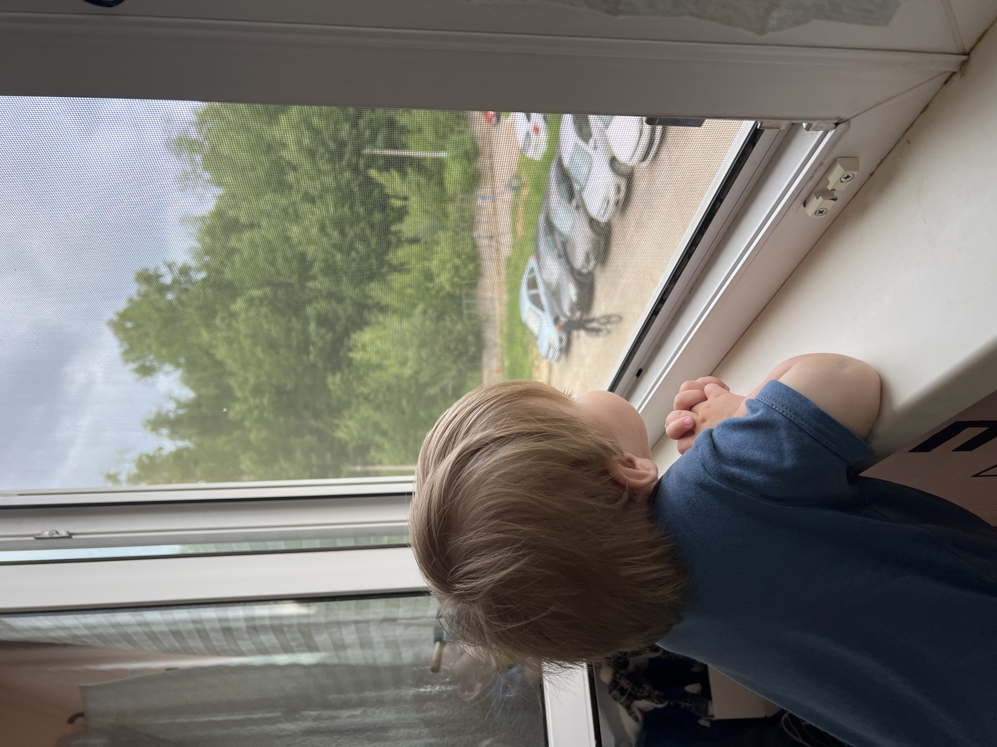 A young child with light brown hair, wearing a dark blue t-shirt, stands on a windowsill and looks out through a window with a screen. The child's hands are clasped together in front of them. Outside the window, a row of parked cars is visible on a paved surface, with a line of green trees and a cloudy sky in the background. The scene appears to be from an urban or suburban setting, possibly in Noviy, Russia, given the architecture of the window and the type of cars. The window frame is white, and there is a white curtain or blind to the left of the frame. The overall lighting suggests it is daytime.