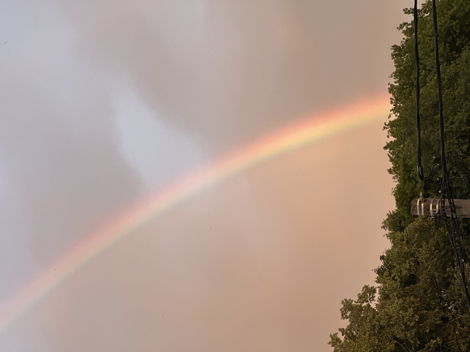 The image depicts a natural phenomenon, a rainbow, arching across a hazy, overcast sky. The sky itself transitions from a light gray on the left to a warmer, muted orange hue on the right, suggesting either dusk or a heavily filtered atmosphere. The rainbow is prominent, displaying a soft spectrum of colors, primarily red, orange, and yellow, arcing diagonally from the lower left towards the upper right of the frame.
On the right side of the image, the dense foliage of green trees occupies a significant portion of the scene. Intertwined with the trees are dark electrical wires and a wooden utility pole with metallic fixtures, indicating an urban or semi-urban setting. The presence of these man-made elements juxtaposed with the natural spectacle of the rainbow creates an interesting contrast.
The lighting is diffused, consistent with cloudy or post-rain conditions. No people are visible in the image. The overall mood conveyed is one of subtle beauty and atmospheric tranquility, hinting at a recent rain shower or an impending one. The time of day is ambiguous but leans towards the softer light of early morning or late evening. The location is confirmed as Nizhny Novgorod, Russia, though no specific landmarks are identifiable beyond the general urban/natural mix. No text is visible in the image.