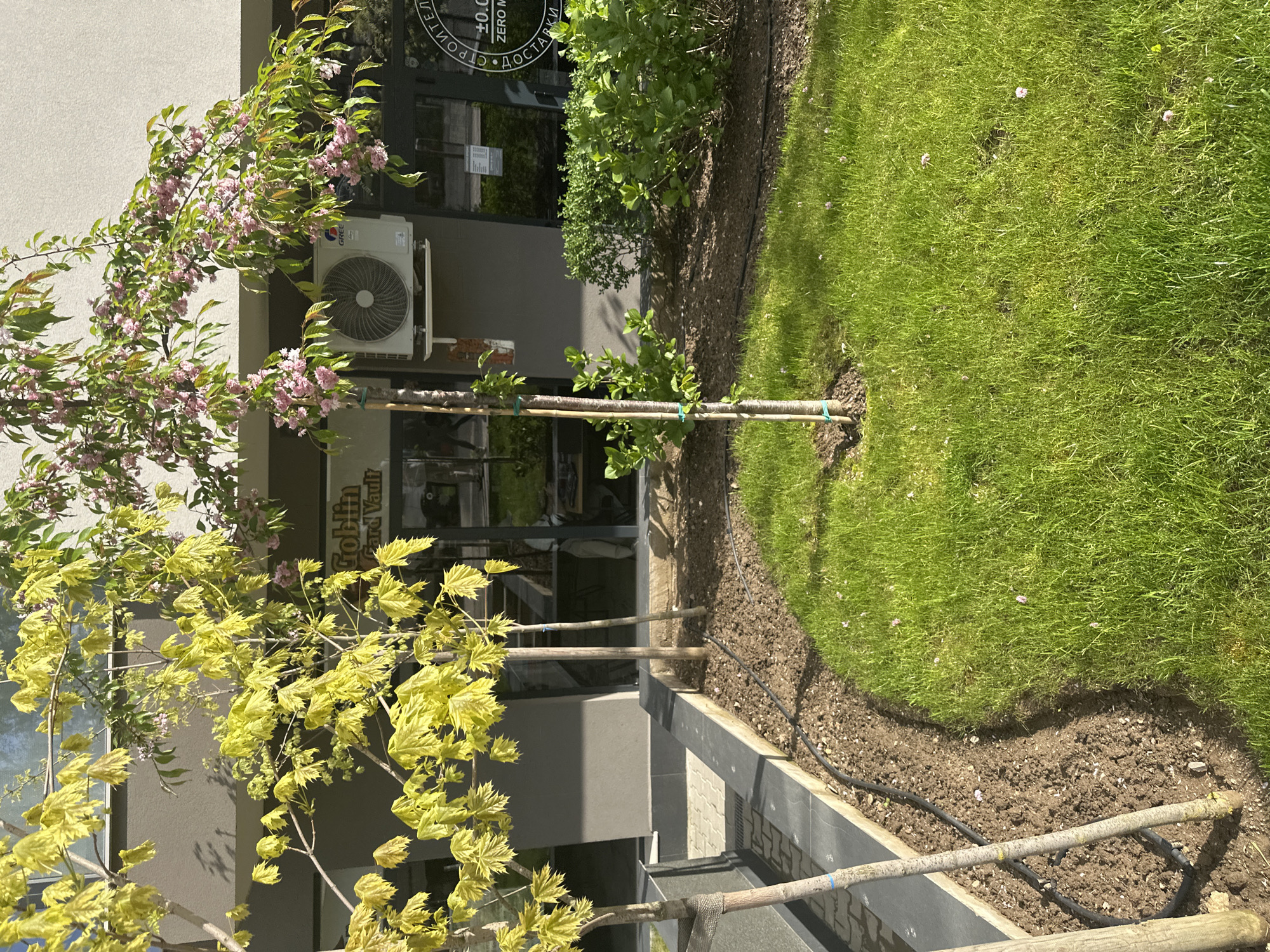 The image captures a view of the exterior of a building, presumably in Sofia, Bulgaria, given the Cyrillic writing on the business sign. A well-maintained lawn occupies the right side of the frame, bordered by a planting area with young trees. These trees are supported by stakes and secured with green ties. The building's exterior is a muted gray tone, with glass doors and windows reflecting the surroundings. An air conditioning unit is mounted on the wall above the entrance. A tree with light yellow leaves is on the left side and one with pink flowers is blooming near the wall. A portion of a business sign reads "Goblin Card Vault". The image is taken during daylight, and the scene appears serene and well-cared for.