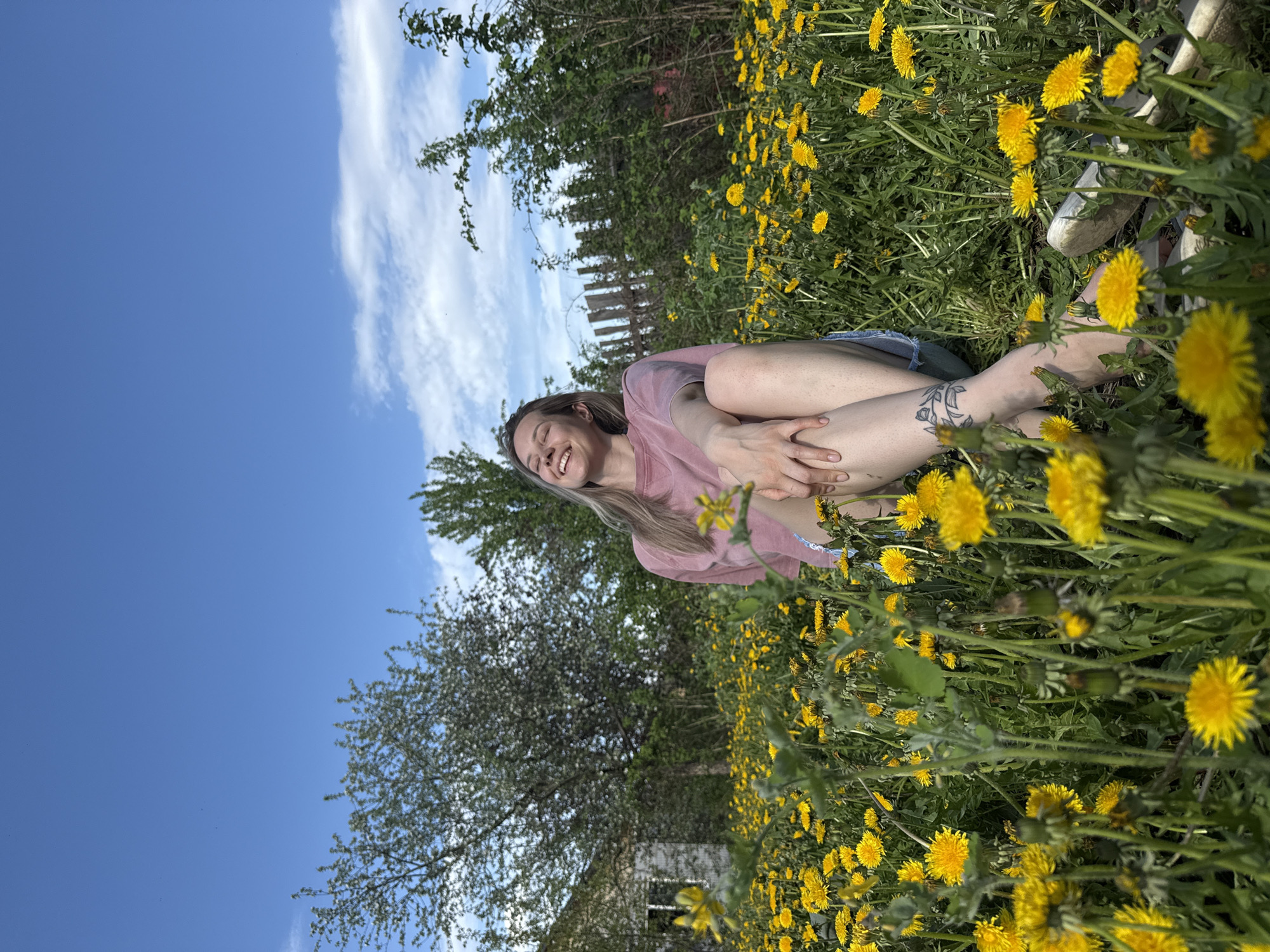 A young woman lies among dandelions in Chaikovsky, Russia. She has fair skin, blonde hair, and wears a pink shirt and denim shorts. Her legs are crossed and drawn towards her chest, her hands clasped around her shins. A tattoo is visible on her lower leg. She is smiling. The location is overgrown with yellow dandelions. A wooden fence and trees are visible behind her. Above, the sky is blue with streaks of white clouds. A building can be seen in the distance.