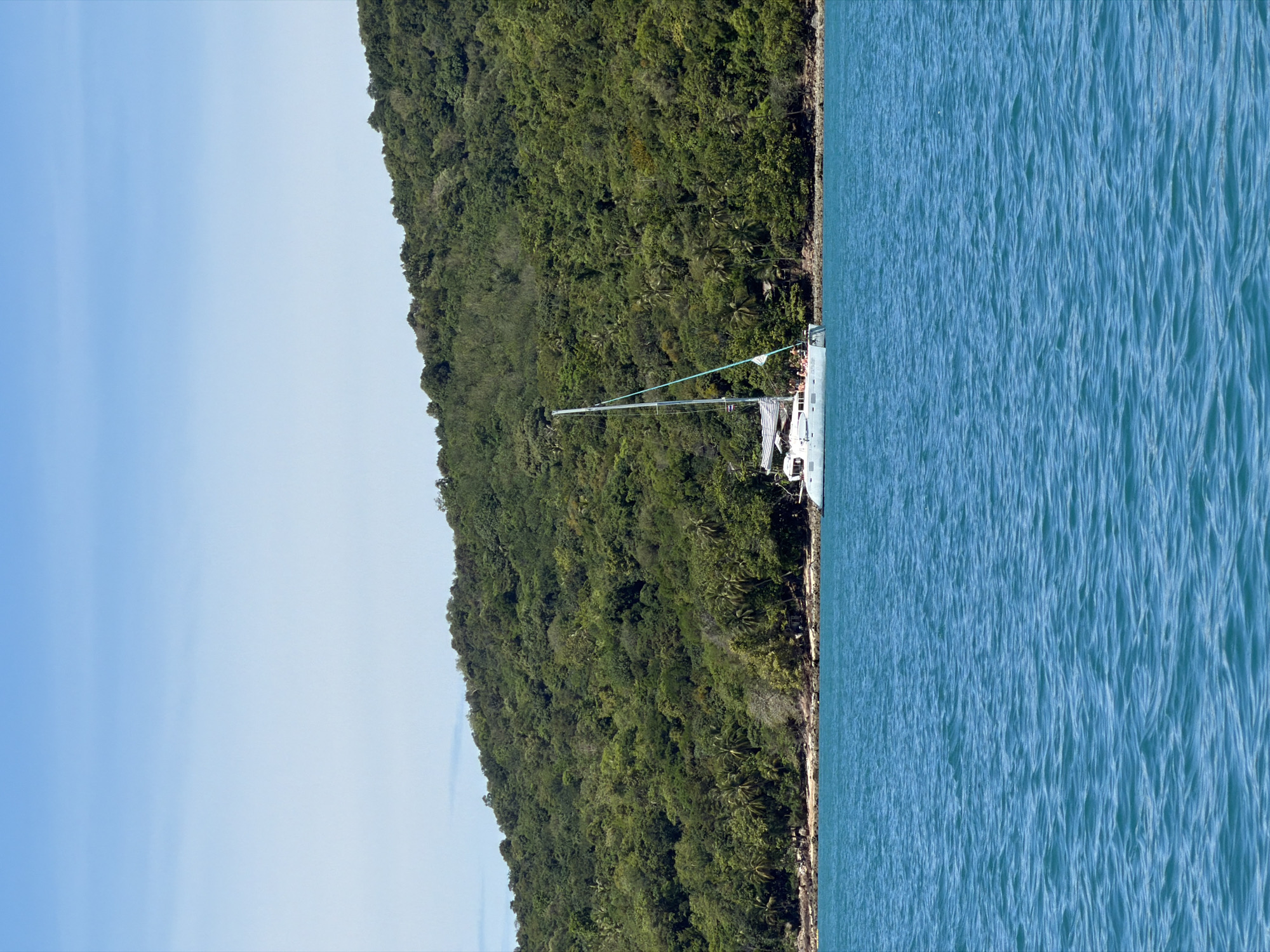 A catamaran is moored in the clear blue water just off the coast of a lush, green, tree-covered island. The boat, with its two hulls and single mast, is white with striped awnings. Several people are visible on the deck of the catamaran. The island's coastline is rocky and lined with trees, including palm trees, and some structures are partially visible amongst the foliage. The sky above is a clear, pale blue. The scene appears to be in Baan Thong Krut, Thailand.