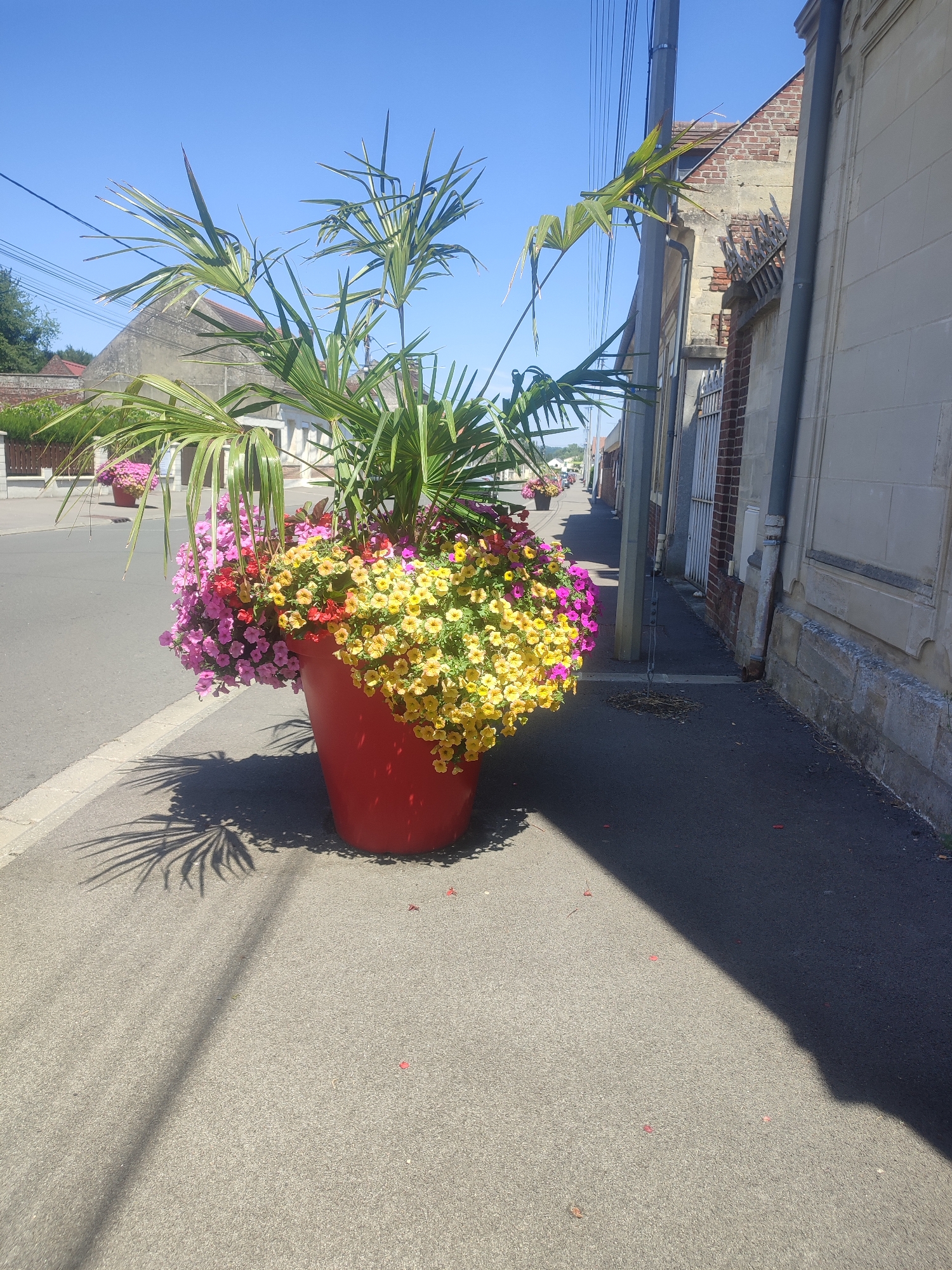 This is a medium shot photograph of a large, bright red planter filled with vibrant flowers and a palm frond, positioned on a sidewalk next to a street in Ressons-sur-Matz, France. The planter is predominantly filled with clusters of small, pink, yellow, and red flowers, with a tall green palm frond extending upwards and out of the planter. The planter casts a distinct shadow of palm fronds onto the asphalt sidewalk. The street runs diagonally from the lower left to the upper right of the image, with a pedestrian sidewalk on the right side. Buildings line the right side of the street, featuring stone and brick construction with a light-colored facade visible closest to the viewer. A utility pole and overhead wires are present on the left side of the street. In the background, more buildings and trees are visible under a clear blue sky. Another similar red planter with flowers is visible further down the street. The scene appears to be a sunny day.