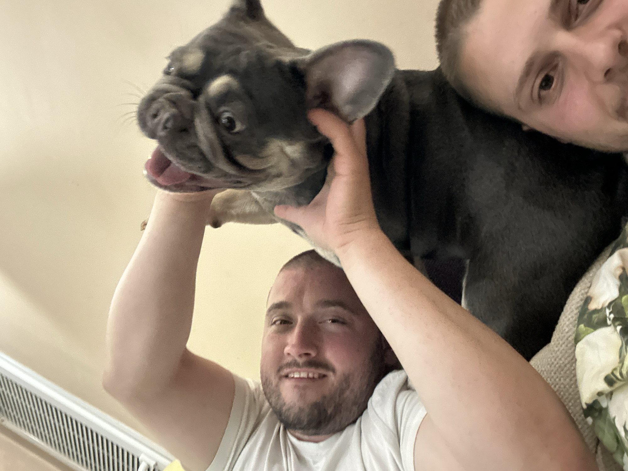 In an indoor setting with a plain, light-colored wall, two individuals are present. One person, a male with short dark hair and a beard, is lying down, looking at the camera with a smile and wearing a light-colored t-shirt. His arm is extended, holding the face of a French bulldog. The dog, with grey brindle coloring, is also in the frame, its tongue out and its face close to the man's. Another person, also appearing to be a male with short blonde hair, is visible in the lower right portion of the image, with part of his face showing and looking towards the camera. The scene appears to be casual, possibly a home environment, with hints of furniture or bedding in the foreground.