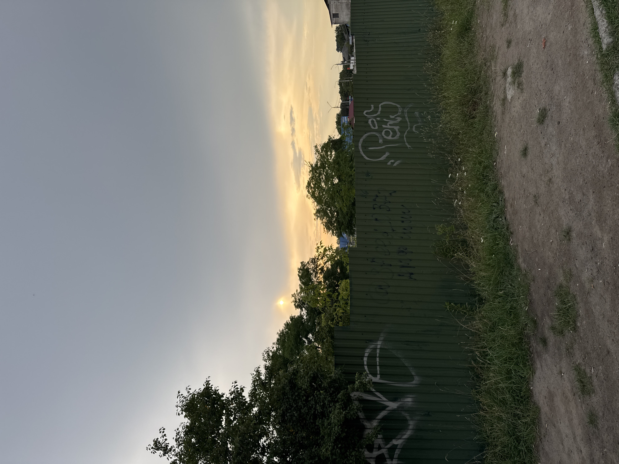 A sunset scene unfolds over a city, possibly Chernivtsi, Ukraine, with a stark green metal fence dominating the foreground. The fence, adorned with graffiti, runs horizontally across the frame, separating a patch of overgrown grass and dirt from the sky. Behind the fence, trees with dense foliage stand tall, interspersed with glimpses of buildings and utility poles. The sky itself is a canvas of muted grey and warm yellow hues, suggesting the sun's descent. A faint atmospheric phenomenon, resembling a sun dog, is visible in the sky, adding a touch of ethereal beauty to the otherwise grounded scene. The overall impression is one of urban transition, where nature and human constructs coexist under a dramatic sky.