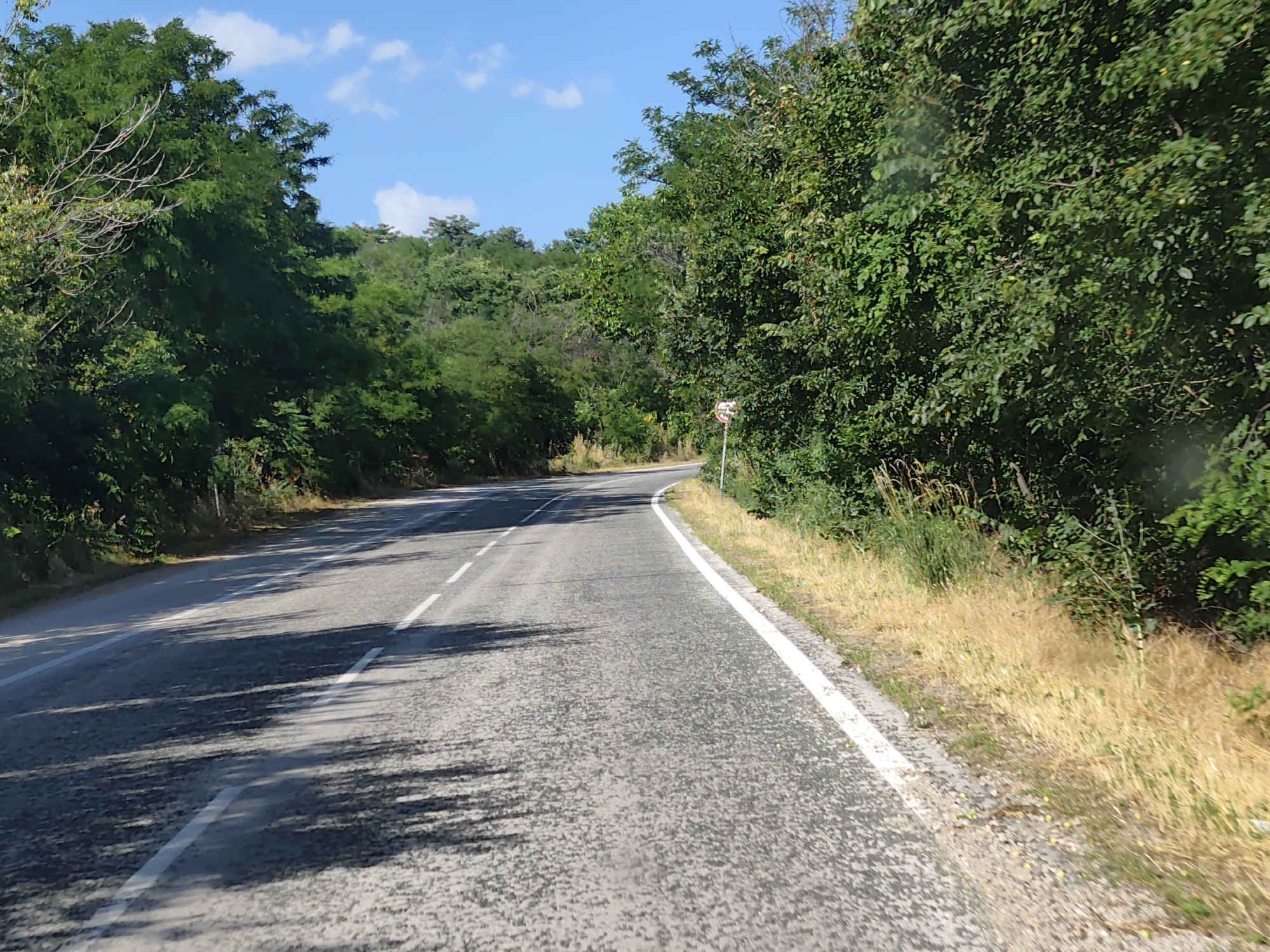The image shows a two-lane asphalt road curving to the left, flanked by lush green trees and vegetation on both sides. The sky is blue with scattered white clouds. The road surface appears worn in some areas. There are white lane markings on the road. A traffic sign with a red circle and a diagonal line is visible on the right side of the road, partially obscured by foliage. The environment suggests a rural or suburban setting, possibly on the outskirts of a town or city. The lighting indicates it is daytime, with shadows cast on the road from the trees. The specific location in Stejerovo, Bulgaria, cannot be determined from the image alone.