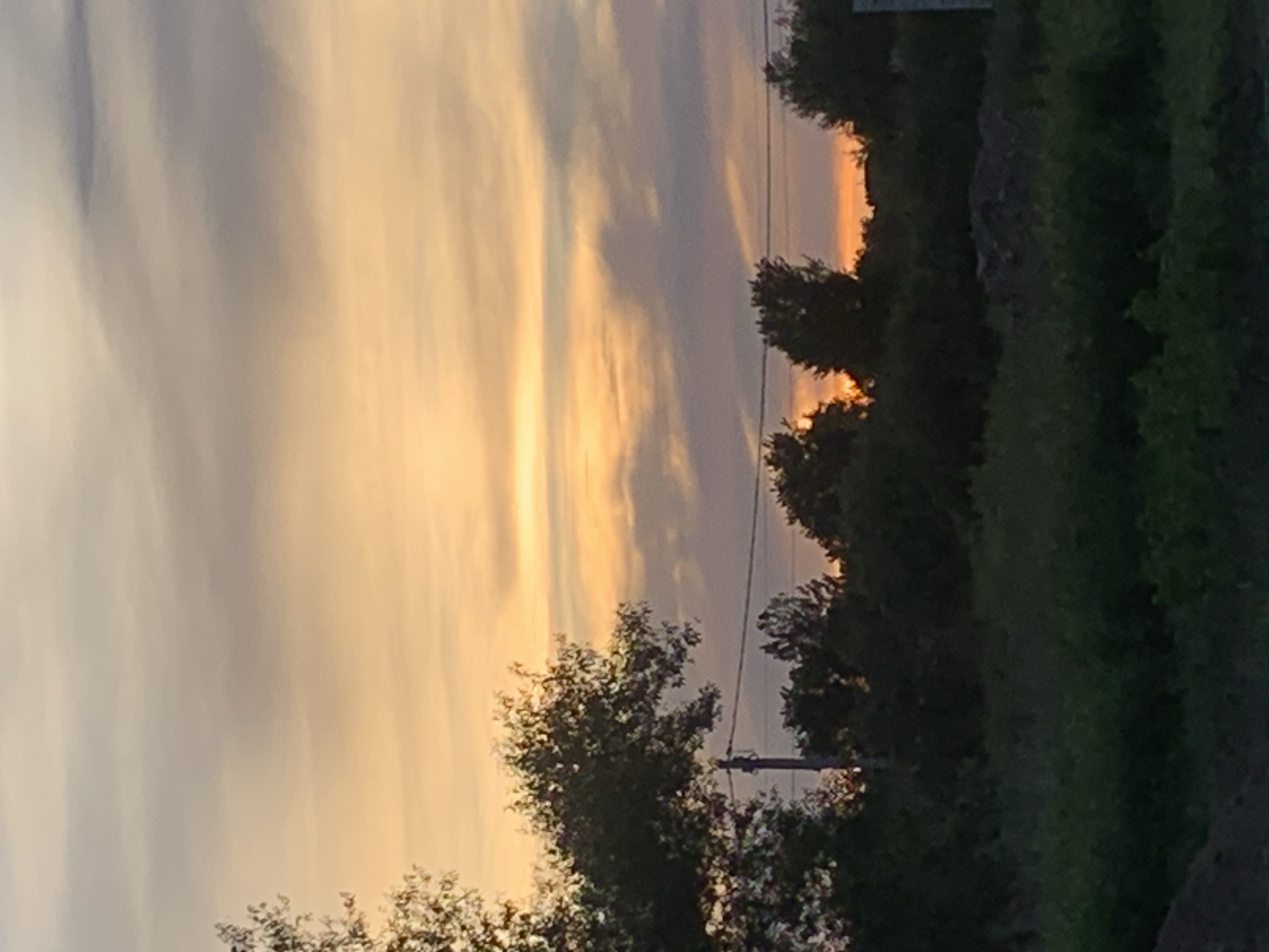 The image depicts a landscape scene with a sunset. The sky is filled with clouds in shades of orange, yellow, and gray. In the foreground, there is a dark silhouette of trees and vegetation, with a utility pole visible on the left. The ground in the lower part of the image is covered with grass and some darker soil. The overall scene suggests an outdoor environment, possibly in a rural or suburban area, under a twilight sky. The location is identified as Gvardeysk, Russia.