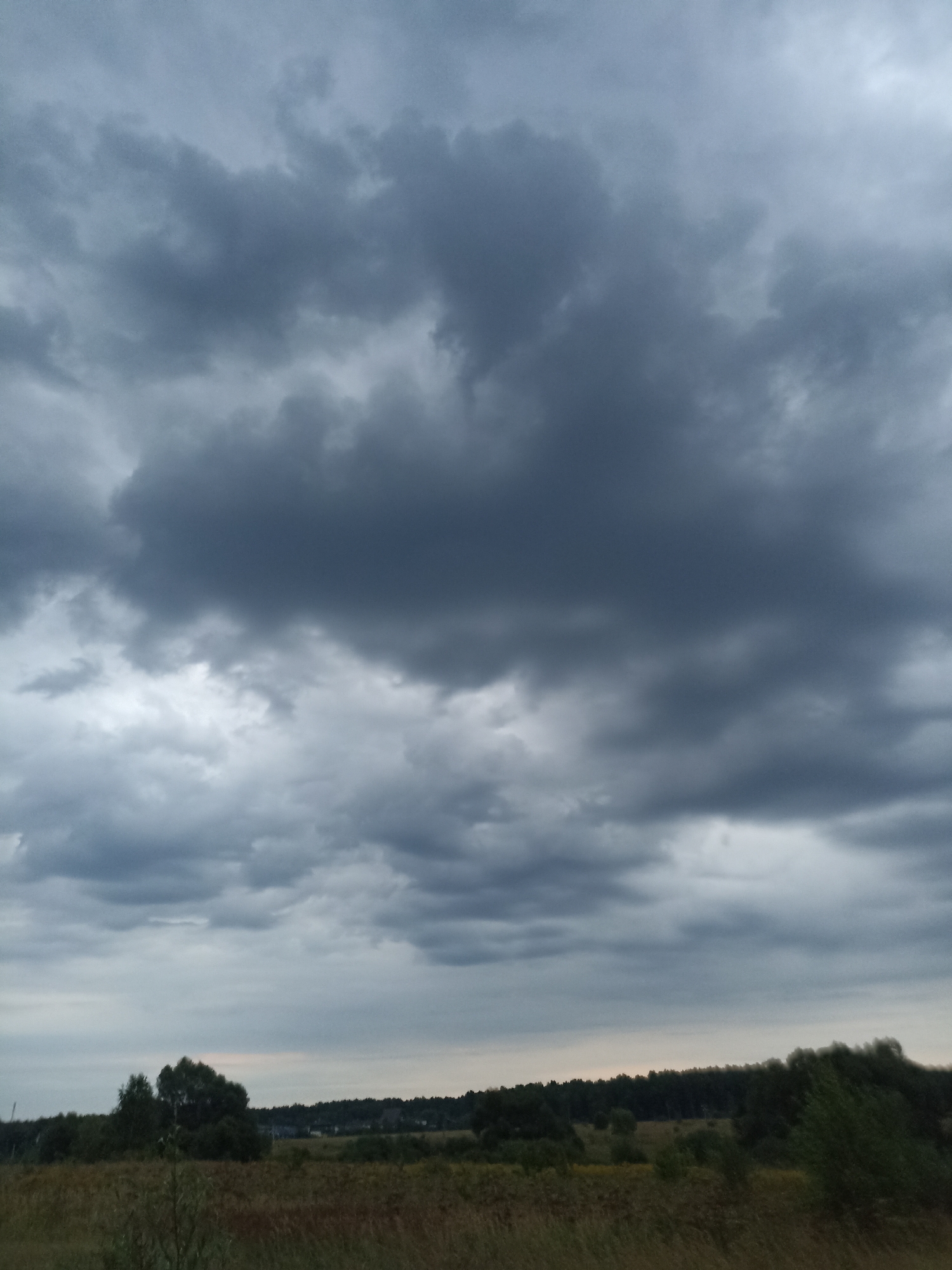 The image depicts a vast, overcast sky filled with dark, heavy clouds, suggesting an impending storm. Below the sky, a low horizon line is visible, comprised of a treeline and fields. The foreground shows a grassy area with some dry vegetation, hinting at a rural or natural environment. There are no people or discernible man-made structures in the immediate vicinity. The lighting is dim, consistent with a cloudy day. The image is a landscape, focusing on the atmospheric conditions and natural elements of the scene. The reference to Ryzhikovo, Russia, provides a geographical context for this natural landscape.