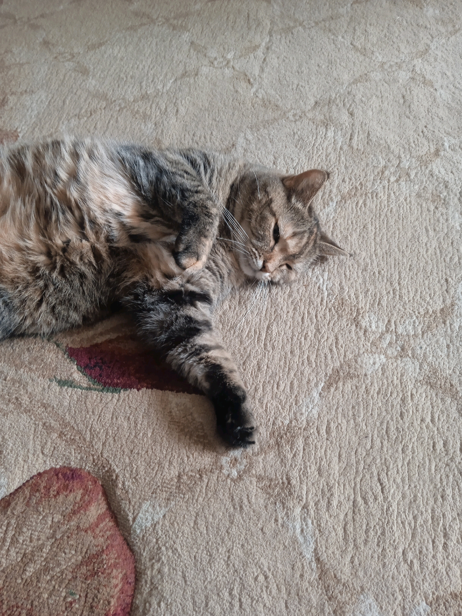 A tabby cat is lying on its back on a light-colored carpet with a floral pattern. The cat has its paws tucked in and its eyes are partially closed. The environment appears to be indoors.