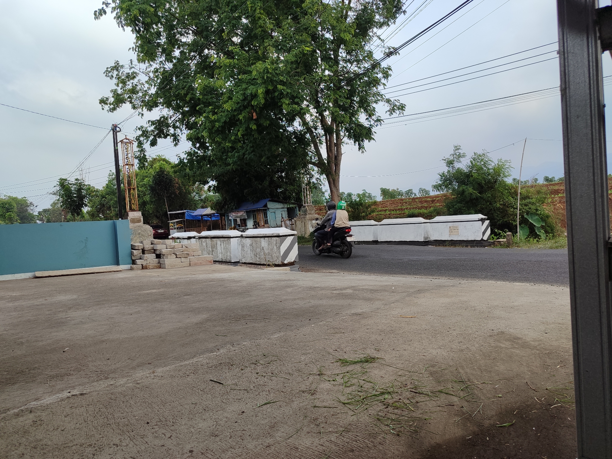 This image captures a scene in Gembyang, Indonesia, on an overcast day. In the foreground, a paved area, likely a street or parking lot, shows a rough texture with scattered blades of grass. To the left, a vibrant teal-colored wall extends into the frame. Behind this wall, a stack of rectangular concrete blocks is piled up, with more concrete barriers, some marked with black and white diagonal stripes, lining the edge of a paved road in the midground.

A two-person motorcycle is traveling on the road, with the rider wearing a green helmet and the passenger a tan jacket. Further in the background, a large tree with dense green foliage dominates the left side of the image, its branches reaching towards a sky filled with gray clouds. A tall, slender pole with visible wires runs vertically behind the tree, and a colorful, sign-like structure with gold lettering stands near its base. Some blue-tarped structures, possibly small stalls or shelters, are visible behind the concrete barriers and the tree. The right side of the image is partially obscured by a dark gray, vertical metal pole. Beyond the road, there are glimpses of terraced land, possibly agricultural, with some greenery and reddish-brown soil.