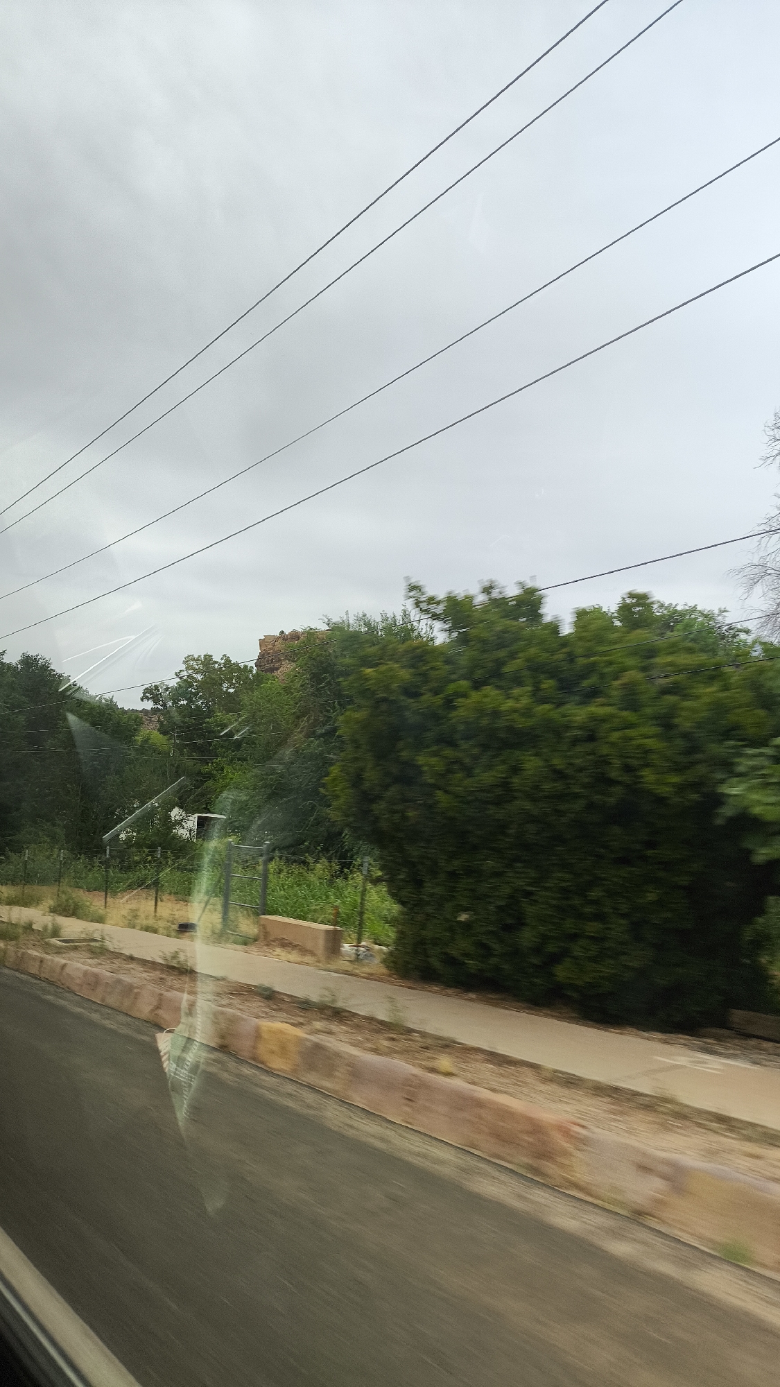This is a ground-level, eye-level, medium shot of a cloudy sky with power lines visible across the top half of the frame. Below the sky is a blur of green foliage, with a large, dark green shrub in the right half of the image. A small white structure and a fence are partially visible amidst the greenery. The bottom half of the image is dominated by a blurred view of a road and a concrete curb. The image is taken from a moving vehicle, evidenced by the motion blur in the road and surroundings. The scene appears to be located in an outdoor, possibly suburban or rural, environment, with no people or specific landmarks to indicate the city of Rockville, United States of America.