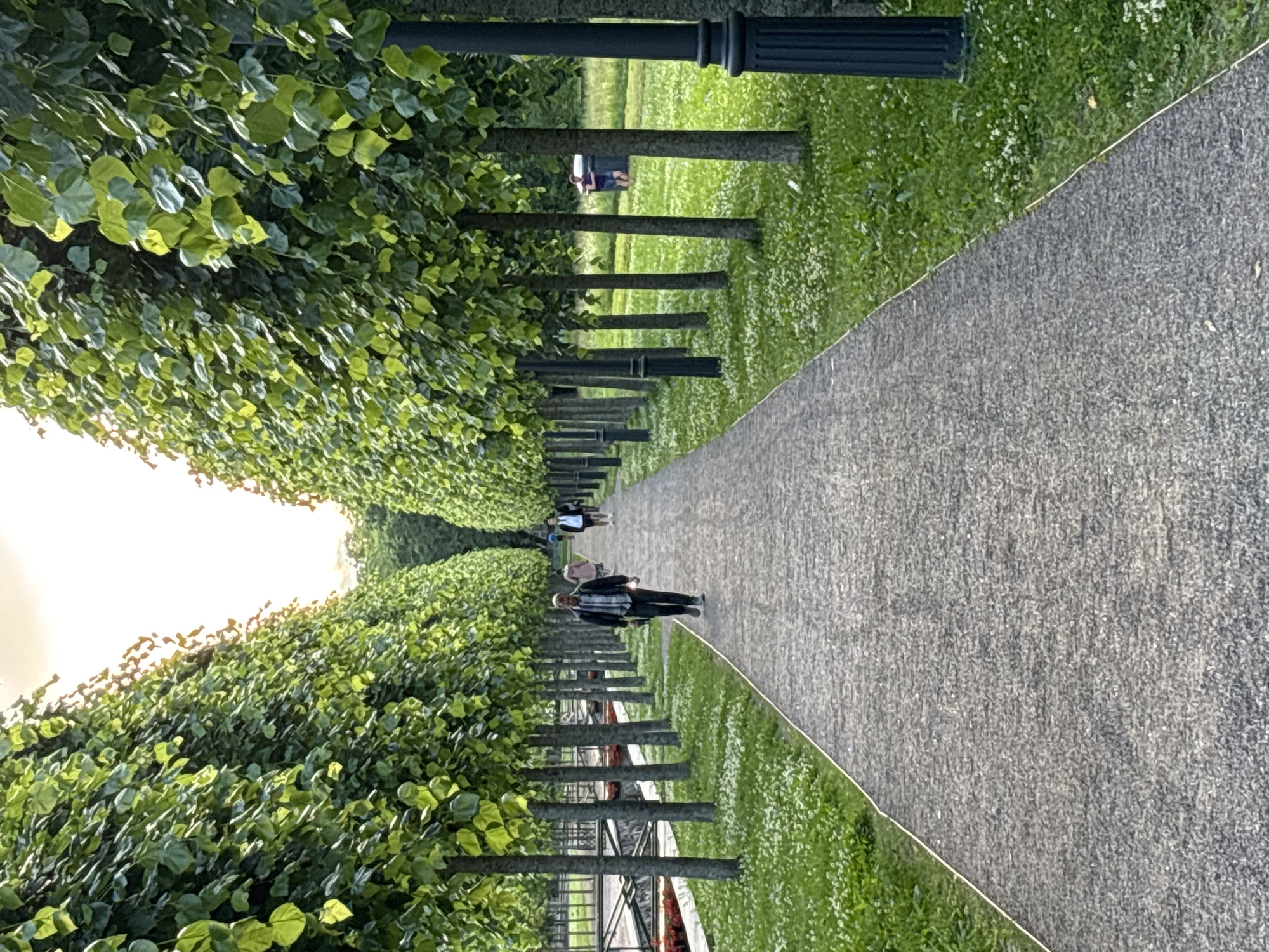 The image depicts a treelined walkway in a park, likely in Tallinn, Estonia. The walkway is paved with dark grey material and curves gently into the distance. On either side of the walkway are rows of trees with lush green foliage, creating an avenue effect. Beyond the trees, a grassy area with scattered small white flowers is visible. In the background, there are lampposts and what appears to be a fence or railing.
Several people are present in the scene. One person is walking towards the viewer on the right side of the walkway, wearing a plaid jacket and dark pants. Further down the path, another person is walking away from the viewer. In the distance, two figures are seated on a bench or in a picnic area, with one appearing to be a person with short hair and the other with longer hair.
The lighting suggests it is either early morning or late afternoon, with the sun casting a warm glow and creating some lens flare on the left side of the image. The weather appears to be pleasant and fair, conducive to outdoor activities in a park. The overall scene evokes a sense of tranquility and leisure. There is no visible text in the image.