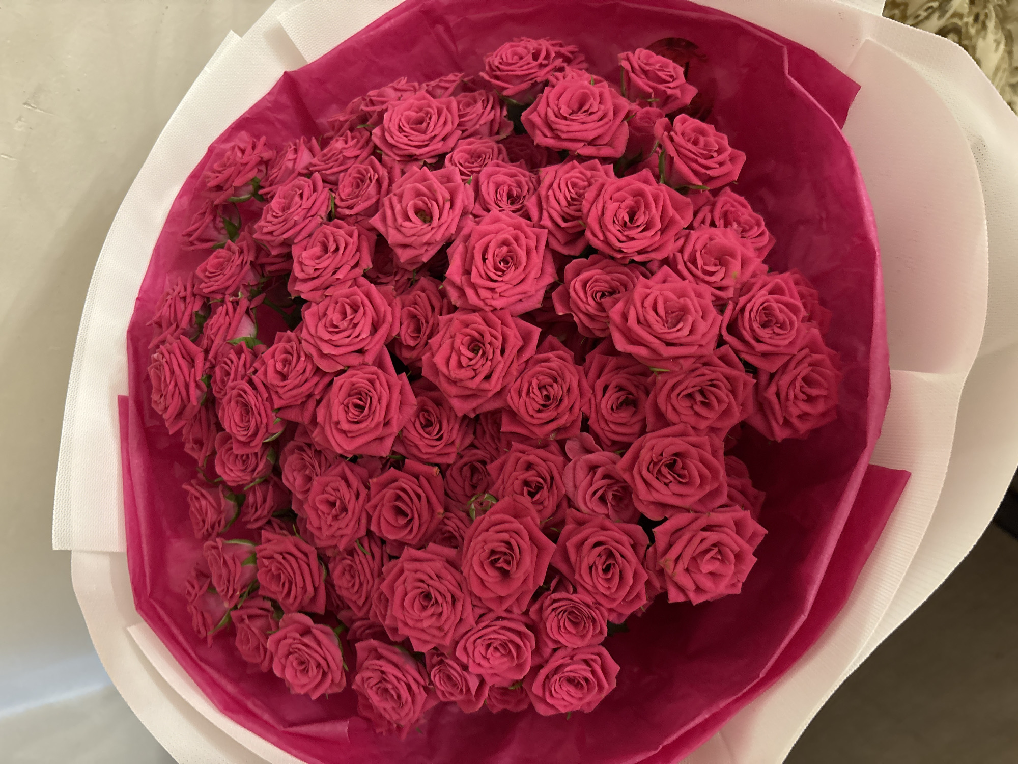 This is a top-down, close-up, eye-level shot of a large bouquet of small, fuchsia-colored roses. The roses are tightly packed and arranged in a dome shape. They are wrapped in vibrant pink tissue paper and then in white paper. The background is out of focus and appears to be a light-colored, textured surface. There are no people or animals visible in the image. The scene is indoors, and there is no indication of any specific location in Prague, Czechia.