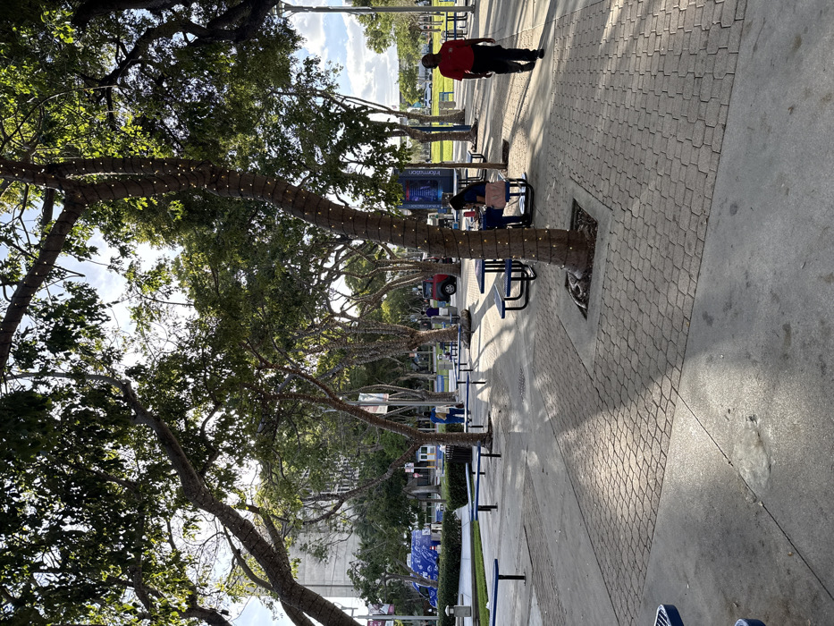 A sideways shot shows a tree-lined path with picnic tables. Trees are wrapped with lights. One person in red walks along the path as another sits at a table. Blue information signs stand between trees. A brick path cuts through the concrete pavement.