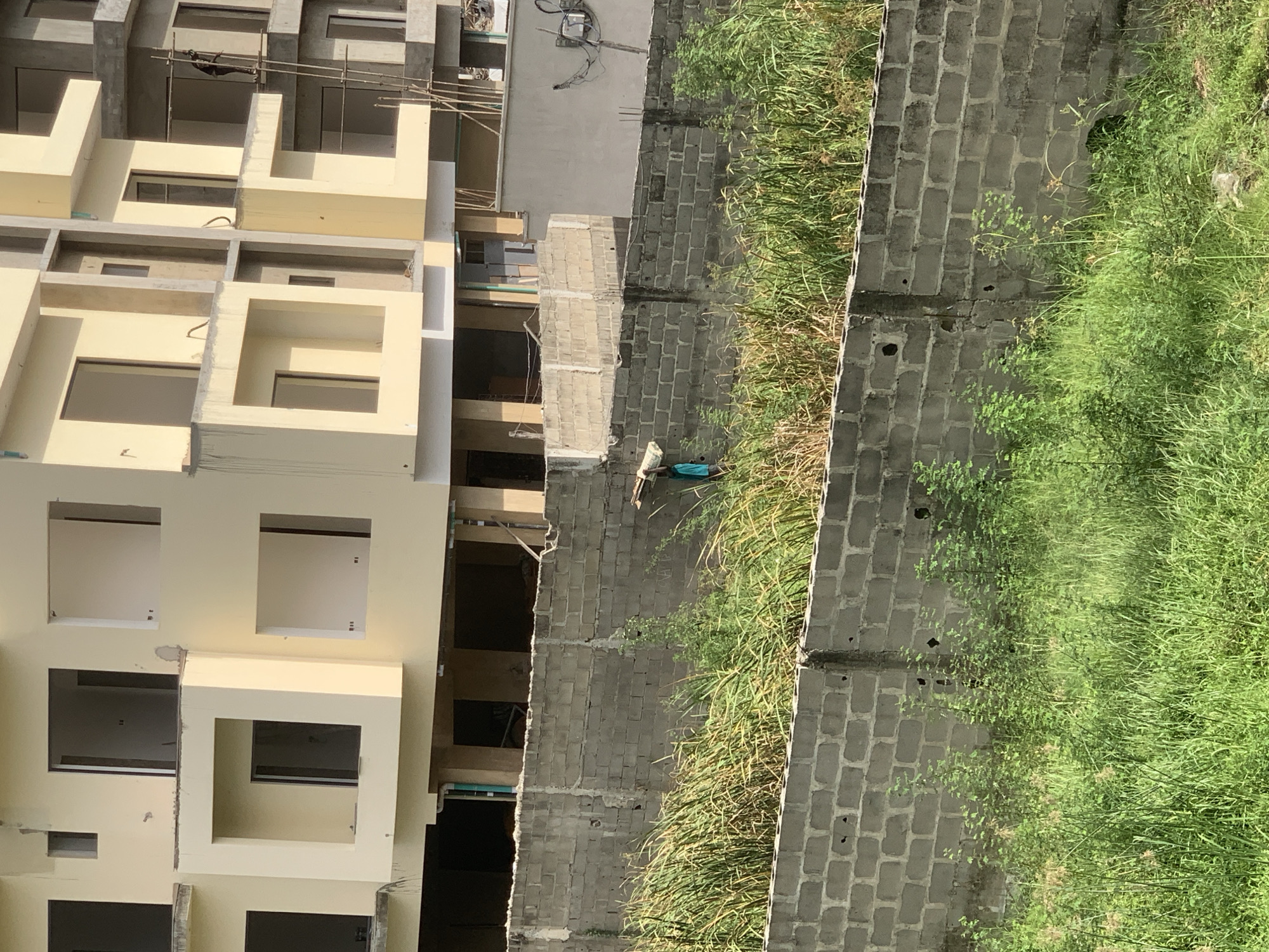 This image depicts a daytime scene in Moba, Nigeria, characterized by urban construction alongside undeveloped land. In the background, multiple multi-story buildings are observed in various stages of construction, featuring light yellow finished exterior walls, exposed concrete structural elements, and numerous open window and balcony apertures. A single individual, clad in dark clothing, is positioned on metal scaffolding attached to the exterior of the rightmost building. The midground is bisected by two parallel walls constructed from grey concrete blocks. Between and immediately behind the lower wall, and in front of the upper wall, is an area of dense, overgrown vegetation comprising green and desiccated grasses and smaller plants. A second individual is visible walking from left to right through this vegetated area, partially obscured, carrying a light-colored sack on their left shoulder. This person is wearing a light blue top and dark trousers. The immediate foreground is filled with dense, green, overgrown grass and small plants, preceding the lower concrete block wall.