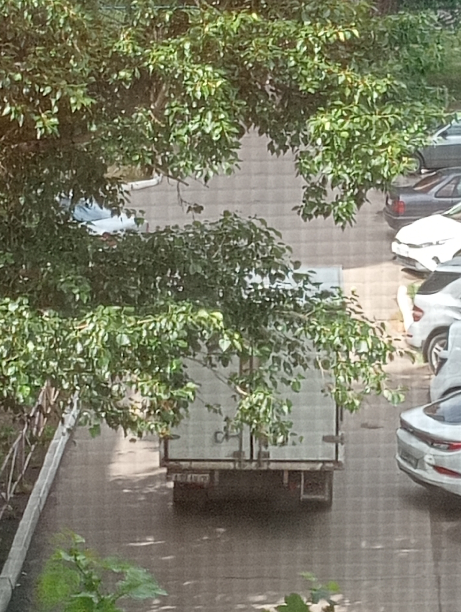 The image depicts a street scene in Kostanay, Kazakhstan, viewed from an elevated perspective and partially obscured by foliage from a tree. In the foreground, lush green leaves and branches dominate the upper portion of the frame, casting shadows on the scene below. The street itself appears to be paved with asphalt and shows signs of dampness, possibly from recent rain or cleaning.
Several vehicles are visible. A white box truck is parked in the middle of the street, facing away from the camera. It has a light-colored cargo area and a visible license plate. To the right of the truck, a silver car is parked, its rear end facing the camera, with its taillights illuminated. Further to the right, the rear of another white car is visible. In the background, several other cars are parked, including a dark-colored sedan and a white vehicle.
The environment suggests an urban or suburban setting with residential buildings likely present, though not directly visible. The overall impression is one of a quiet, daytime scene in a city.