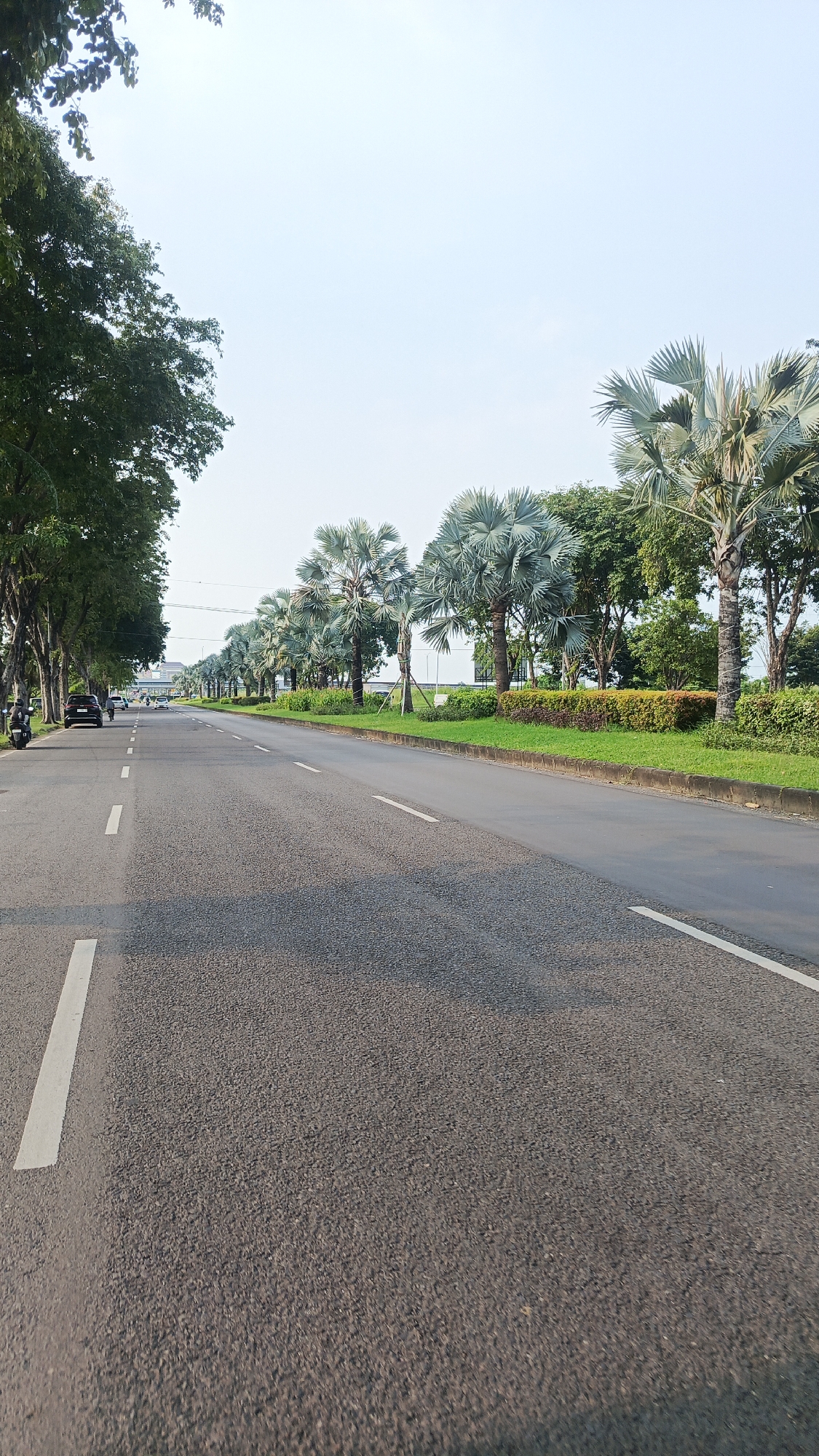 A medium-angle shot shows a straight, asphalt road running through Tambak Rejo, Indonesia. The road has white lane markings and a center median with grass and trees, including palm trees. On the left side of the road, there are more trees and a few parked motorcycles and cars. Further down the road, distant cars are visible. The sky is clear and bright. The environment suggests a suburban or semi-urban area, with well-maintained landscaping alongside the road. There are no people clearly visible in the immediate foreground.