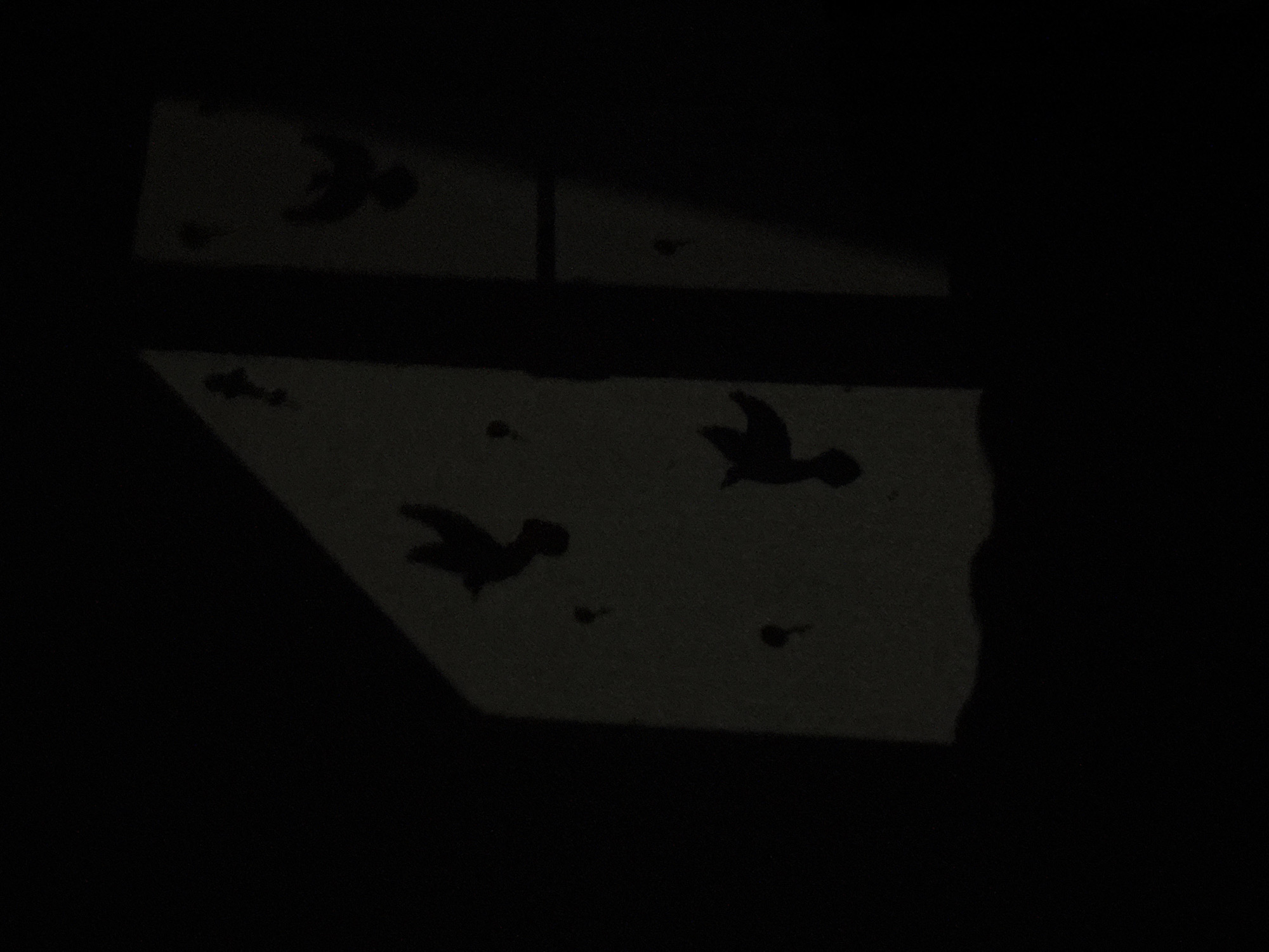 The image shows a partially illuminated wall with shadows of birds, likely from a patterned window covering. There are three distinct patches of light on the wall, each showing bird silhouettes and smaller scattered dots. The background is completely dark. The image does not provide any information that could confirm it was taken in Rusalevka, Russia. There are no people or other objects visible in the image beyond the shadows and the wall.