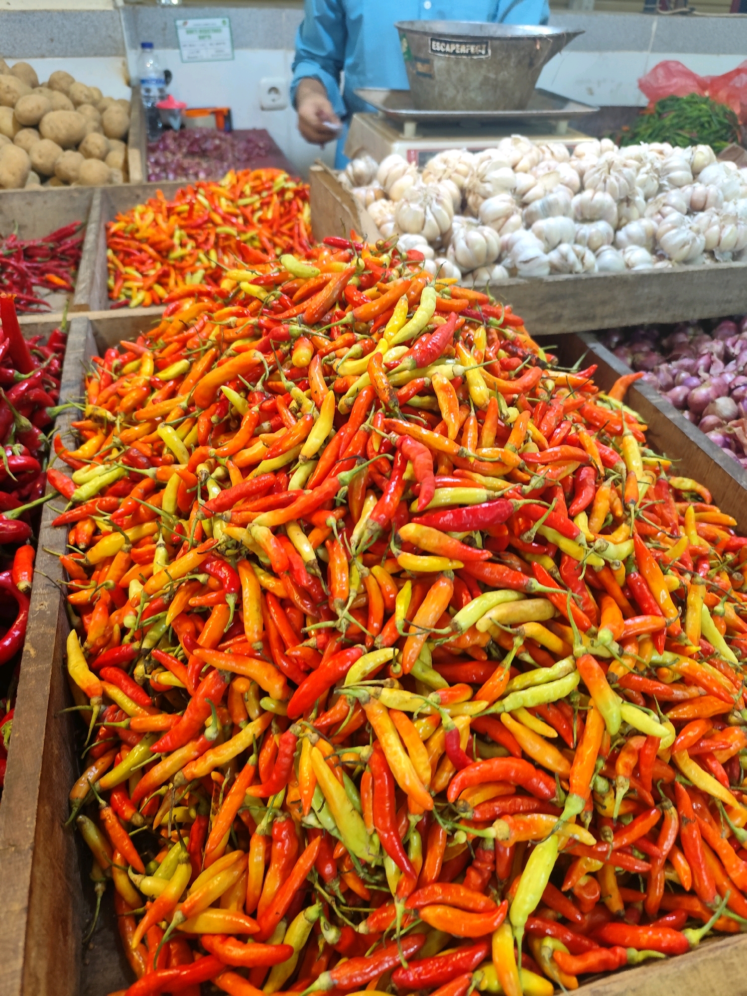 This image shows a close-up view of a large pile of colorful chili peppers at an outdoor market stall in Bogor, Indonesia. The chili peppers are a mix of red, orange, and yellow, with some appearing green. They are loosely piled in a wooden crate. In the background, other vegetables such as potatoes, onions, and garlic are visible, also displayed in wooden crates. A person wearing a blue shirt is partially visible in the upper right corner, standing behind a scale, suggesting a transaction is taking place or about to take place. The overall scene depicts a vibrant and bustling marketplace.