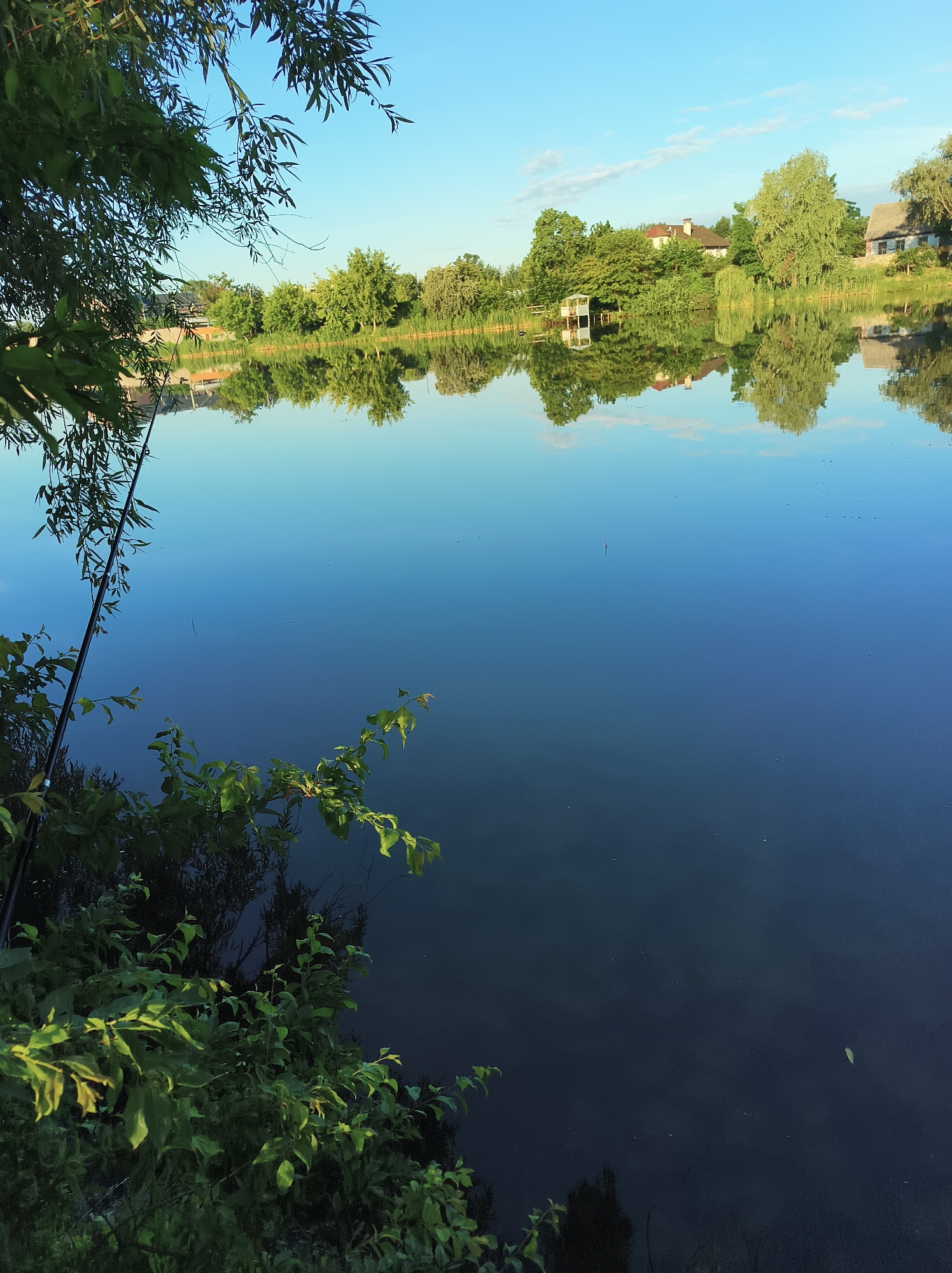 A tranquil lake reflects the clear blue sky and lush green trees lining its banks, with houses and a small pier visible in the distance. In the foreground, a fishing rod rests on the grassy bank, partially obscured by the leaves of overhanging trees. The scene captures a peaceful moment in a natural setting, likely on the outskirts of Kyiv, Ukraine.