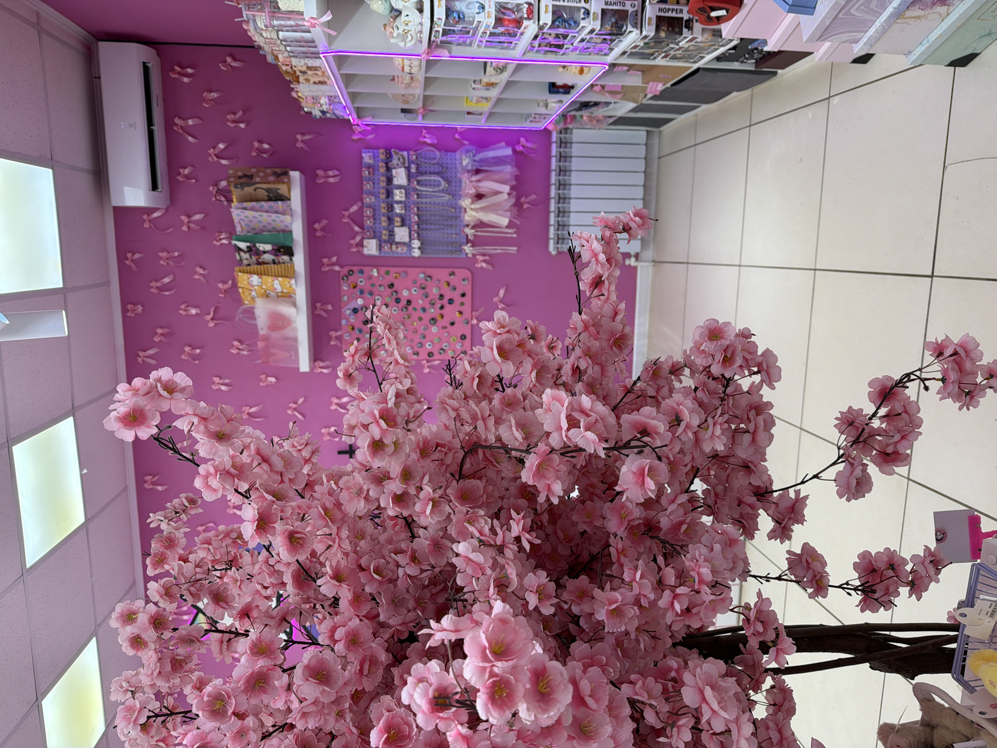 This image captures the interior of a brightly lit store, characterized by a predominantly pink and pastel aesthetic. The perspective is from slightly above, looking down and across the space, with the image rotated clockwise by 90 degrees.
In the foreground, a large, dense arrangement of artificial pink cherry blossom branches dominates the view, extending from the bottom right towards the center and left. These delicate, vibrant pink flowers create a soft, inviting atmosphere.
The back wall, a solid shade of vivid pink, is adorned with numerous small, light pink ribbon bows scattered across its surface. On this wall, a white air conditioning unit is mounted on the left. Below it, several white shelves display patterned gift bags or wrapping paper. Further right on the pink wall, a purple pegboard holds various accessories like earrings and necklaces, while another section showcases hair ties and scrunchies in pastel shades. Below this, a pink board is covered with an array of small, colorful pins or buttons.
In the background, a white shelving unit with bright purple LED strip lighting displays a variety of packaged merchandise. Visible text on some of the packages includes character names such as "MAHITO", "HOPPER", and "STITCH", suggesting the presence of collectible figures like Funko Pops. Colorful boxes and other items are also arranged on these shelves.
The floor is a light-colored tiled surface with dark grout lines, visible on the right side of the image. The ceiling features a grid of white acoustic tiles with rectangular fluorescent light panels. The overall impression is that of a charming and whimsical retail space, possibly a gift shop or boutique, in Votkinsk, Russia, specializing in cute and collectible items. No people are visible, and the artificial lighting suggests it could be any time of day.