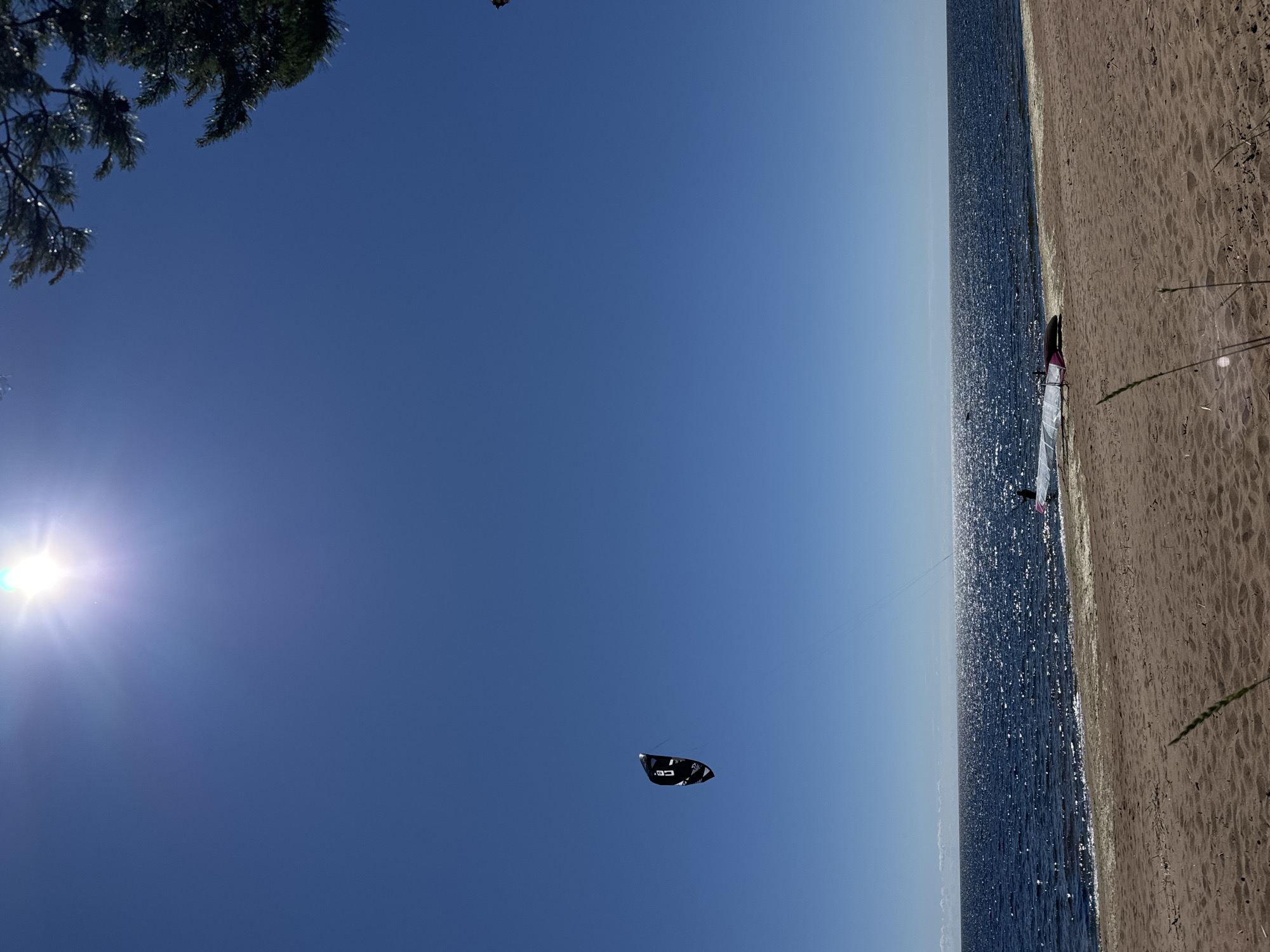 In Zelenaya Roshcha, Russia, a kiteboarder prepares to enter the glistening, sun-drenched waters of the Gulf of Finland. The scene unfolds on a sandy beach under a bright, clear blue sky. A dark kite with white lettering, identified as "CO," hovers in the sky, tethered to the kiteboarder. The kiteboard itself, a white and pink board, lies on the sand near the water's edge, ready for action. The sun, positioned high in the sky, casts a brilliant glare on the sea's surface, creating a shimmering effect. A few wispy clouds are visible on the horizon, and a dark branch from a pine tree extends into the upper right corner of the frame, suggesting the natural beauty of the coastal environment.