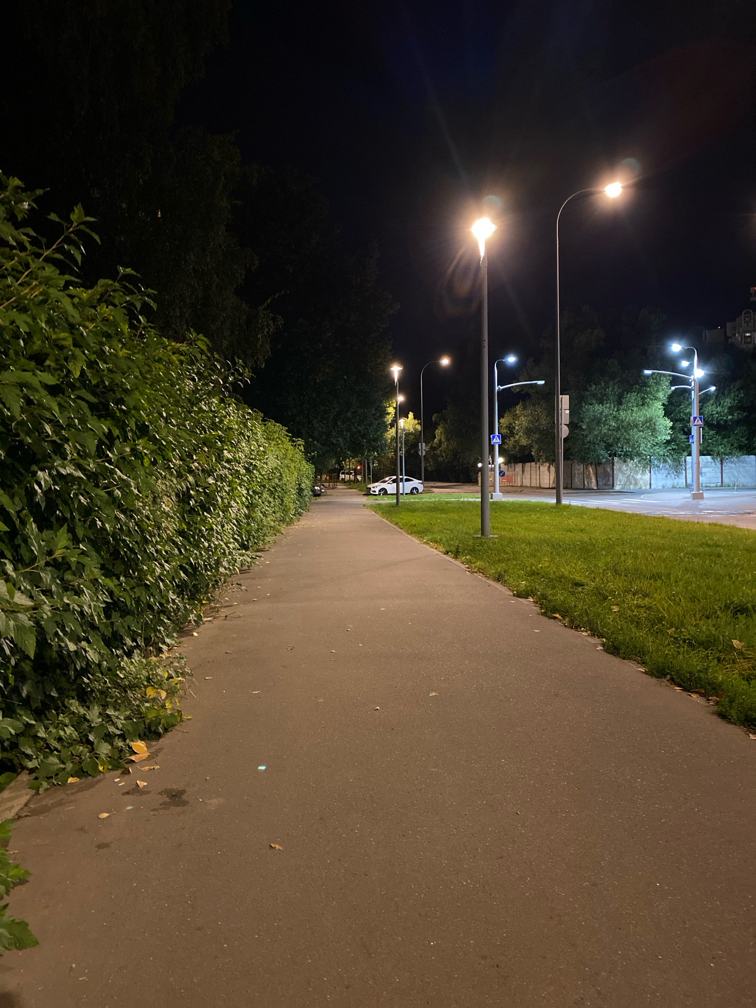 The image shows a paved pathway alongside a tall, dense hedge on the left and a grassy area with a street on the right. The scene is illuminated by streetlights, indicating it is nighttime. Several streetlights are visible along the path and the street. On the street, there is a white car parked and a building in the background. The pathway appears to be a pedestrian walkway in an urban or suburban setting. The hedge is green and well-maintained, with some fallen leaves on the pathway. The grassy area is well-lit by the streetlights, and some trees are visible in the background. The overall impression is a quiet, well-lit pathway at night.
