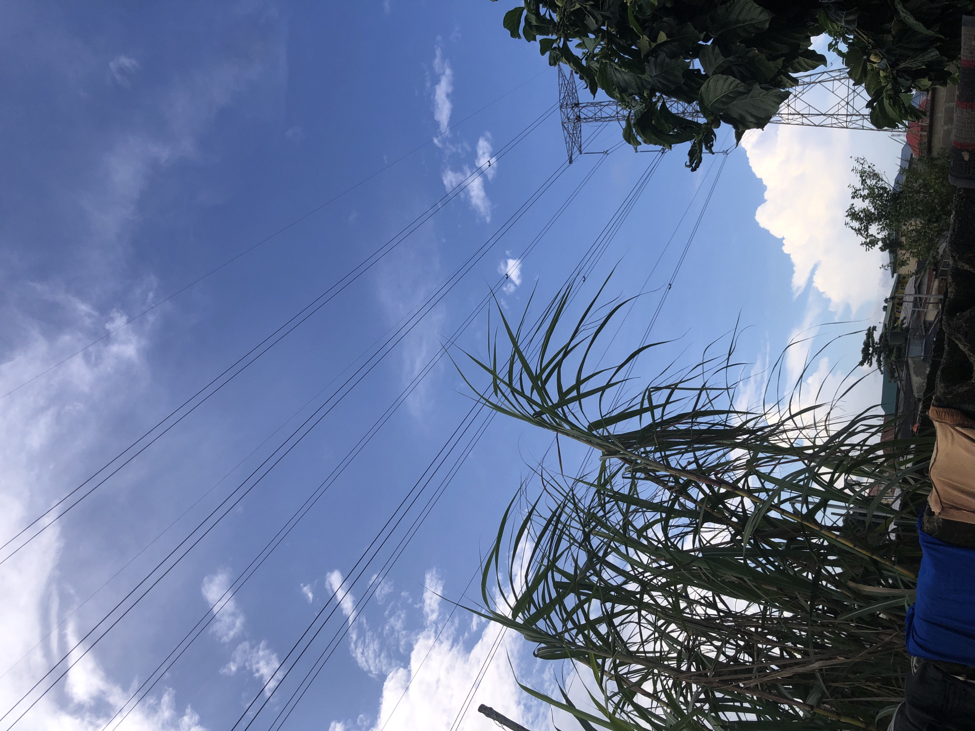 This is an outdoor, medium-shot photograph taken on a sunny day with scattered clouds in Ado, Nigeria. The image is dominated by a bright blue sky and a network of overhead power lines that crisscross diagonally from the upper left to the upper right of the frame. In the foreground, on the left, is a dense cluster of tall, green leafy stalks, likely sugar cane, with some dry, brown leaves interspersed. To the right of the sugar cane, some laundry is visible hanging on a dark-colored surface, including a blue towel and a light brown garment. In the middle ground, to the right, a large metal electricity pylon is visible, with its lattice structure extending upwards into the sky, supporting the power lines. Further to the right and slightly in front of the pylon, a tree with large green leaves and some developing fruit is in view. The background shows a hint of residential buildings with tiled roofs and other greenery, suggesting an urban or semi-urban environment. The overall impression is one of a slightly cluttered but functional landscape under a wide-open sky.