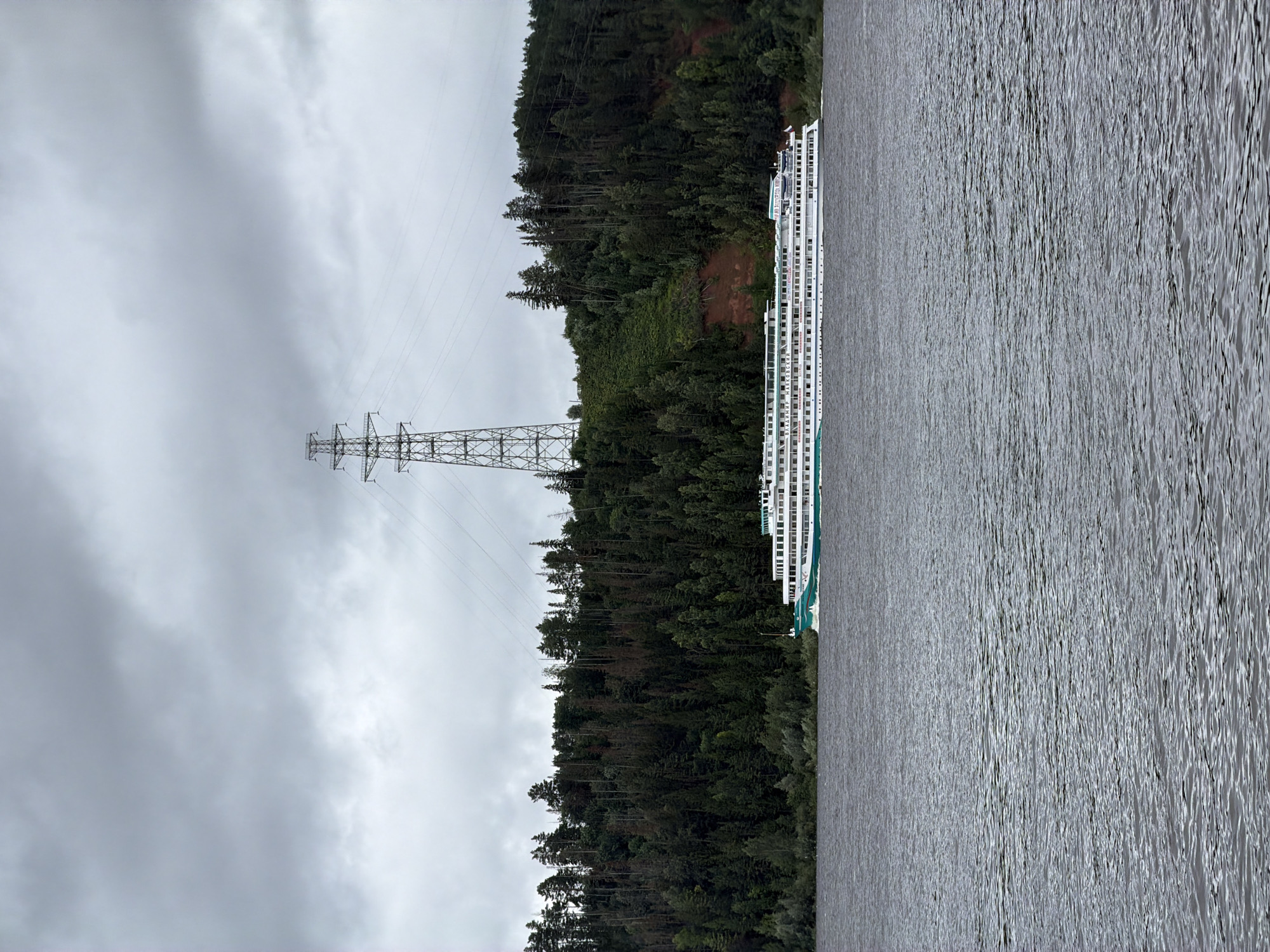 The image depicts a wide, dark gray river under a heavily overcast sky in Noviy, Russia. A long, multi-decked white cruise ship with green accents sails on the river. The ship is positioned horizontally across the frame, close to the riverbank. Behind the river, a densely wooded hill rises, covered in dark green coniferous trees. A large, metal power transmission tower stands prominently on the crest of the hill, with power lines stretching across the sky. The water is choppy with small waves.