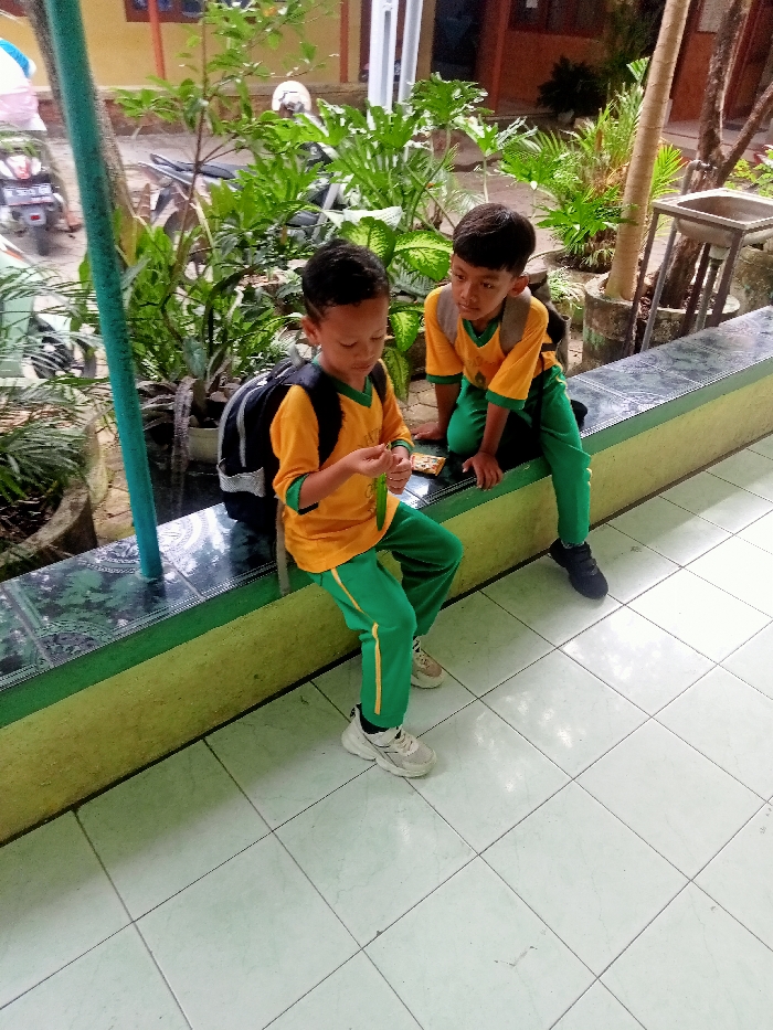 Memory