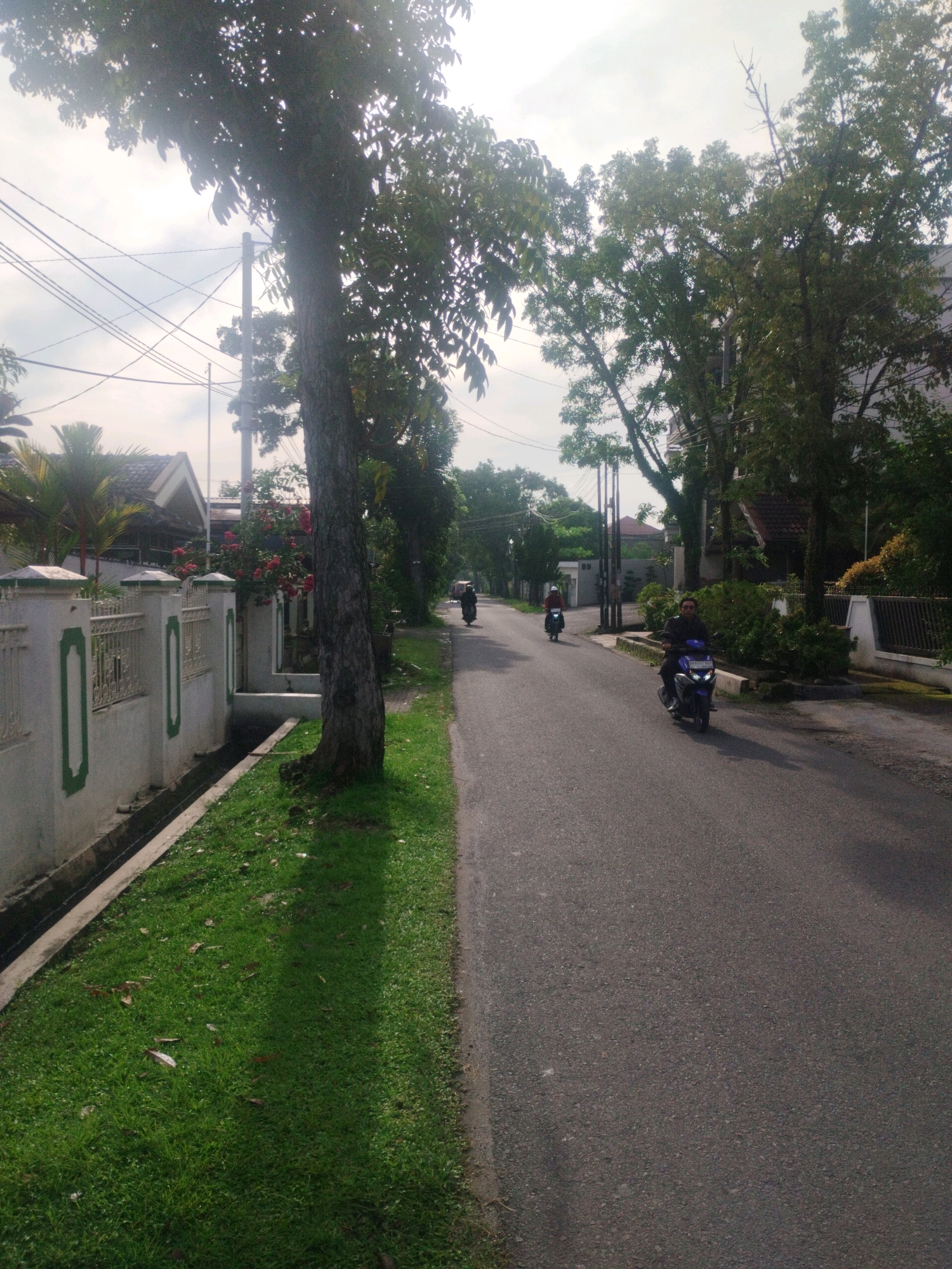 The image depicts a street scene in Medan, Indonesia, with a paved road running along the right side of the frame. Lush green grass lines the left side of the road, separated by a low white fence with decorative green accents. A drainage ditch runs along the inside of the fence. Several trees with dense foliage are scattered throughout the scene, casting shadows on the road and grass.
Several people are visible on motorcycles. One person rides a blue motorcycle in the foreground, traveling away from the viewer. Further down the road, another person on a motorcycle is also heading away. Two other motorcycles are visible in the distance, moving in the same direction.
The environment appears to be a residential area, with houses and their roofs visible behind the fence and trees. Power lines are strung across the sky, supported by utility poles. The sky is overcast, suggesting a cloudy or hazy day. The overall impression is a typical street in a suburban or semi-urban area of Medan.
