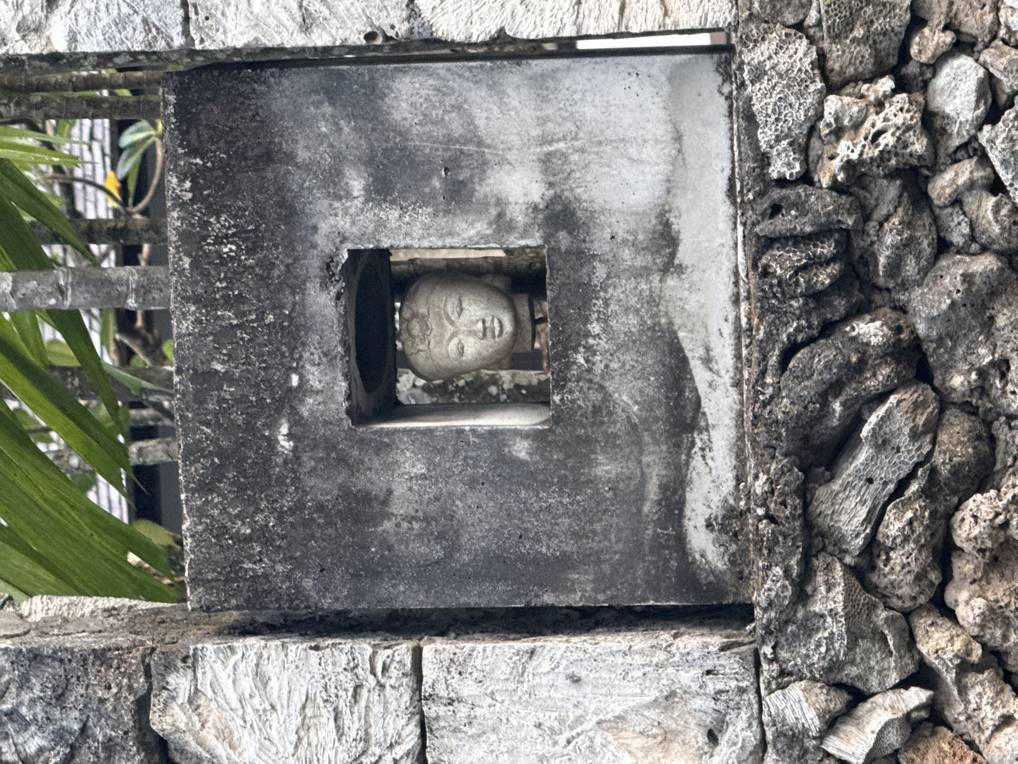 A medium, eye-level shot captures a carved stone head peering through a square opening in a rough stone wall in Denpasar, Indonesia. The head is pale gray, exhibiting fine details of a serene facial expression. The square opening is framed by dark gray stone. To the right of the square is a wall made of porous, light gray rocks and coral, appearing naturally aged. To the left, green leaves extend into the scene, softened by the out-of-focus background of trees and other architectural components. The overall atmosphere is one of serenity and timelessness.