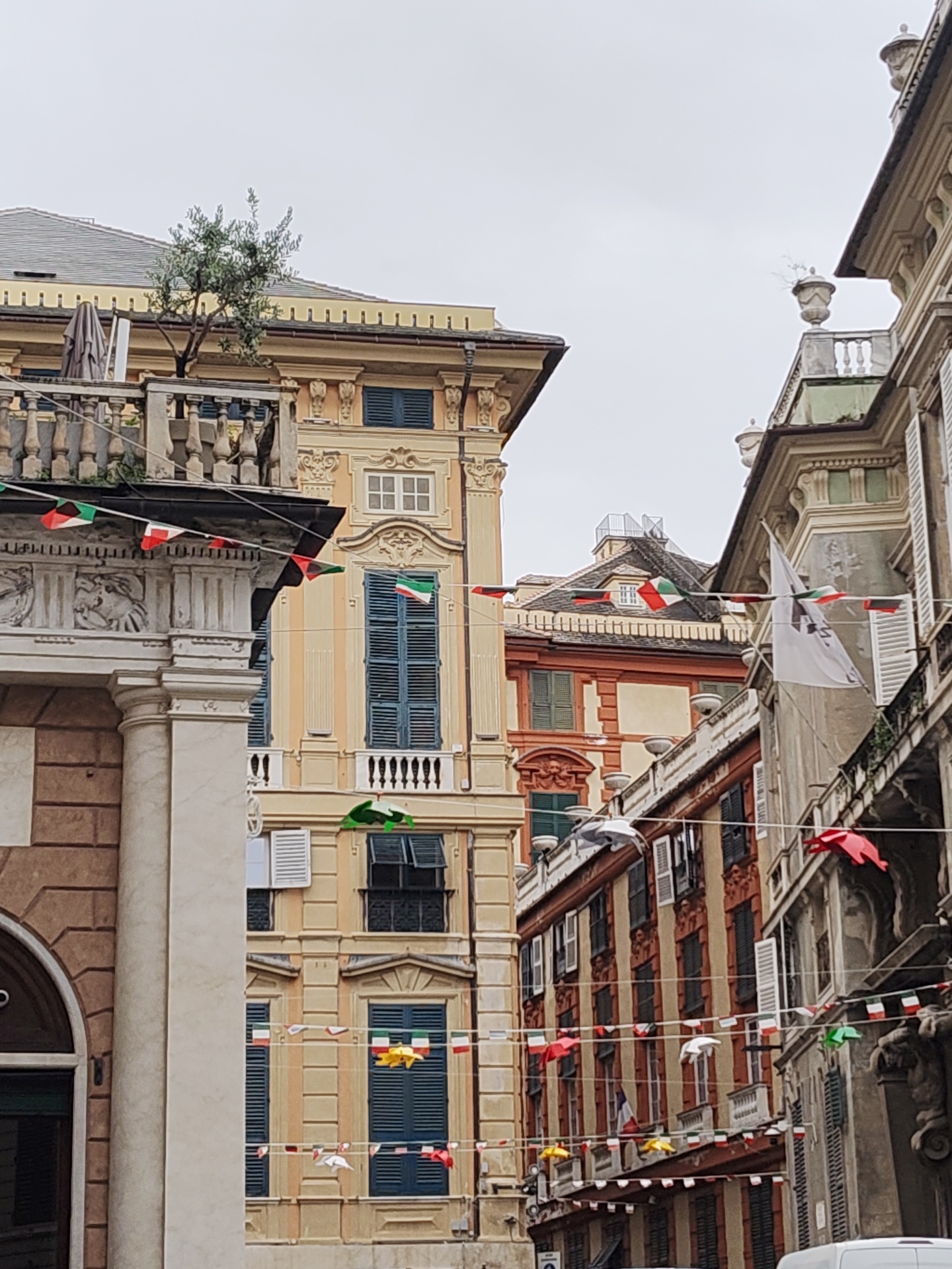 The image depicts a street scene in Genoa, Italy, characterized by old buildings and decorative elements. The buildings vary in color and architectural style, with some featuring ornate facades, balconies, and window shutters. Bunting consisting of Italian flags is strung across the street between the buildings. The sky appears overcast. A small tree grows atop one of the buildings. No people are visible.