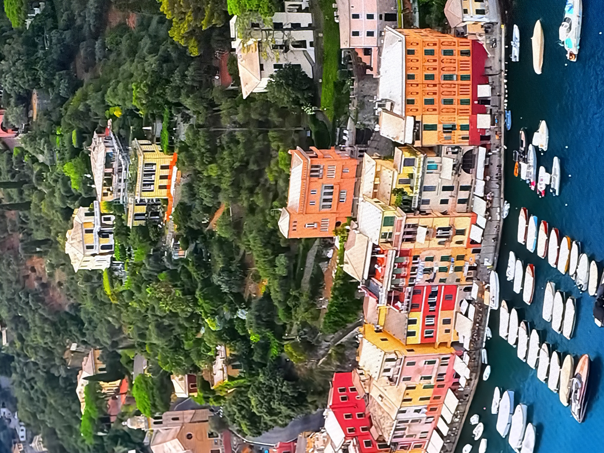 The aerial view captures a colorful Italian coastal village, likely Portofino, based on the characteristic pastel-colored buildings clustered around a harbor. The buildings, painted in vibrant shades of yellow, orange, red, and pink, are nestled into a lush green hillside covered in dense trees. Many of the buildings have multiple stories with arched windows and balconies.
In the foreground, a calm, deep blue body of water is filled with numerous boats of various sizes. Many of these boats are covered with tarps, indicating they are docked or moored. There are also smaller speedboats and yachts visible, some with people onboard or preparing to embark. The shoreline is lined with awnings and outdoor seating areas, suggesting a bustling waterfront with restaurants or shops.
The hillside behind the village is characterized by steep terrain and abundant vegetation. Several large villas or homes are visible higher up on the slopes, also painted in light colors and surrounded by manicured gardens and trees. A winding road is visible in the upper left portion of the image, leading towards the village. A church with a distinct bell tower can be seen further up the hill, partially obscured by trees. The overall impression is one of a picturesque and affluent resort town, bathed in natural light.
This scene is clearly not located in Chirchik, Uzbekistan, as the architecture, landscape, and the presence of a coastal harbor are not characteristic of that city.